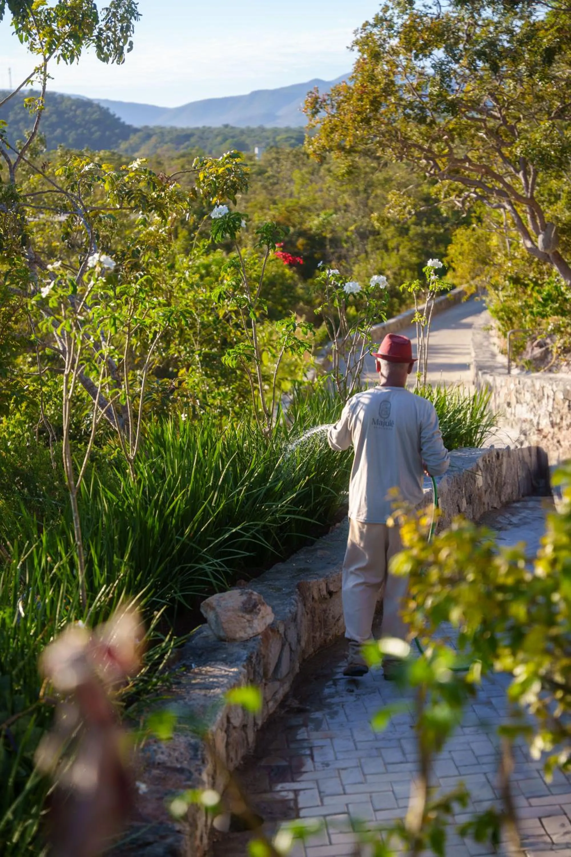 Garden in Majulê Ecolodge