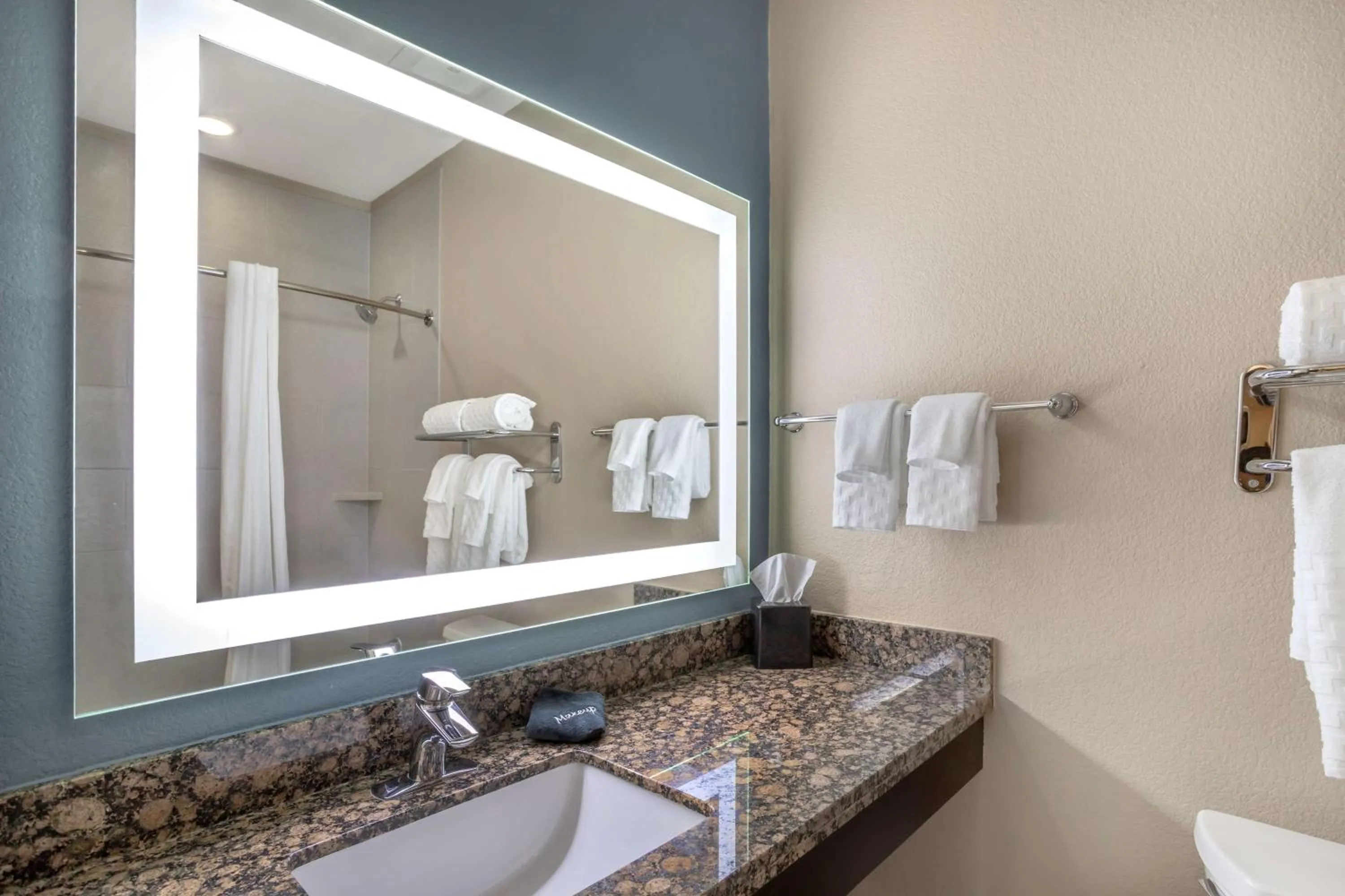 Bathroom in Best Western Plus Lake Jackson Inn & Suites