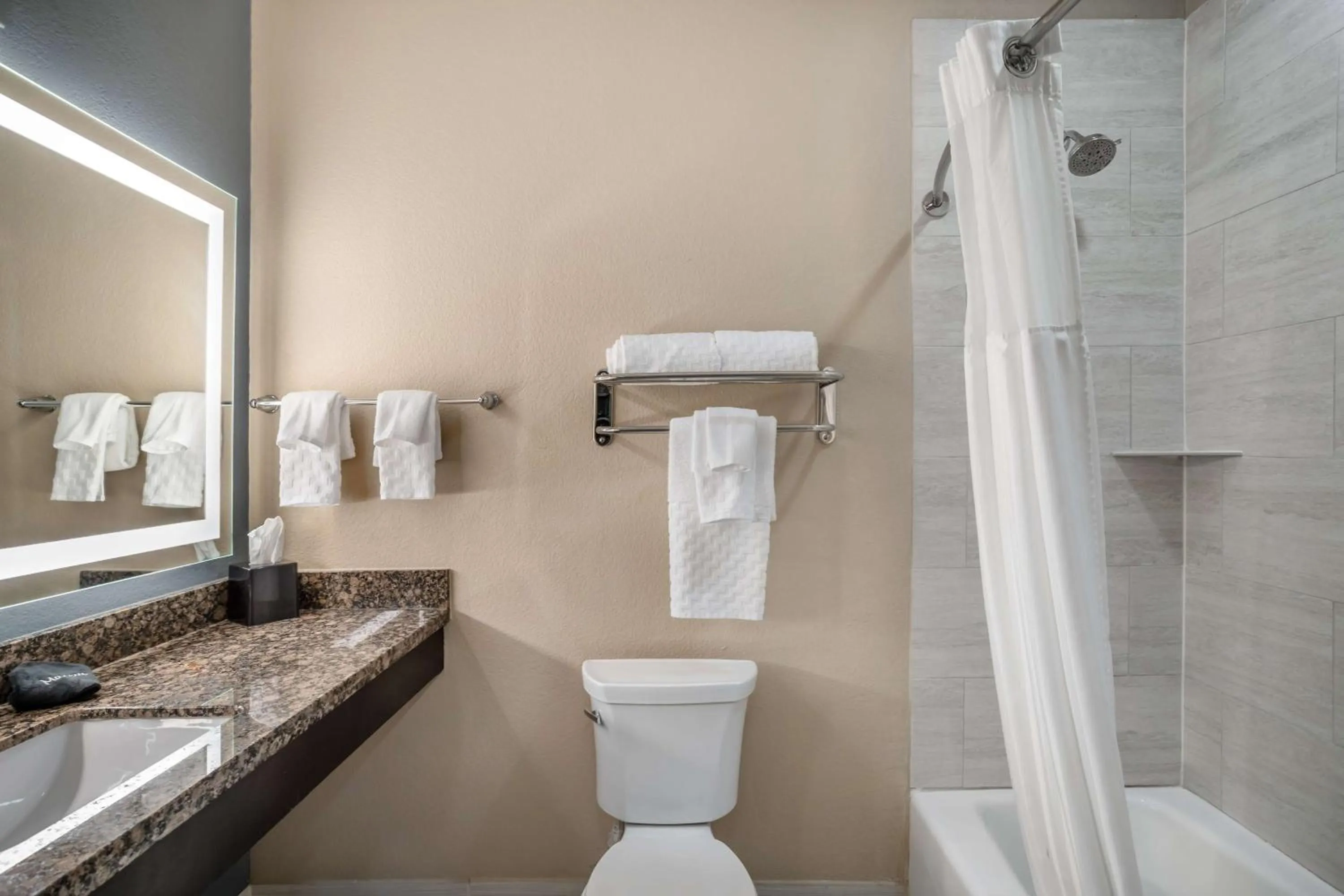 Bathroom in Best Western Plus Lake Jackson Inn & Suites