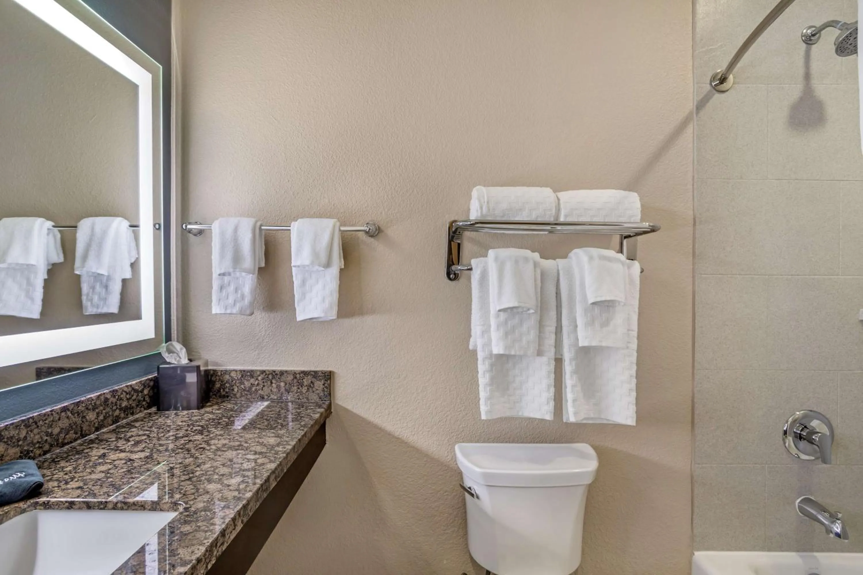 Bathroom in Best Western Plus Lake Jackson Inn & Suites