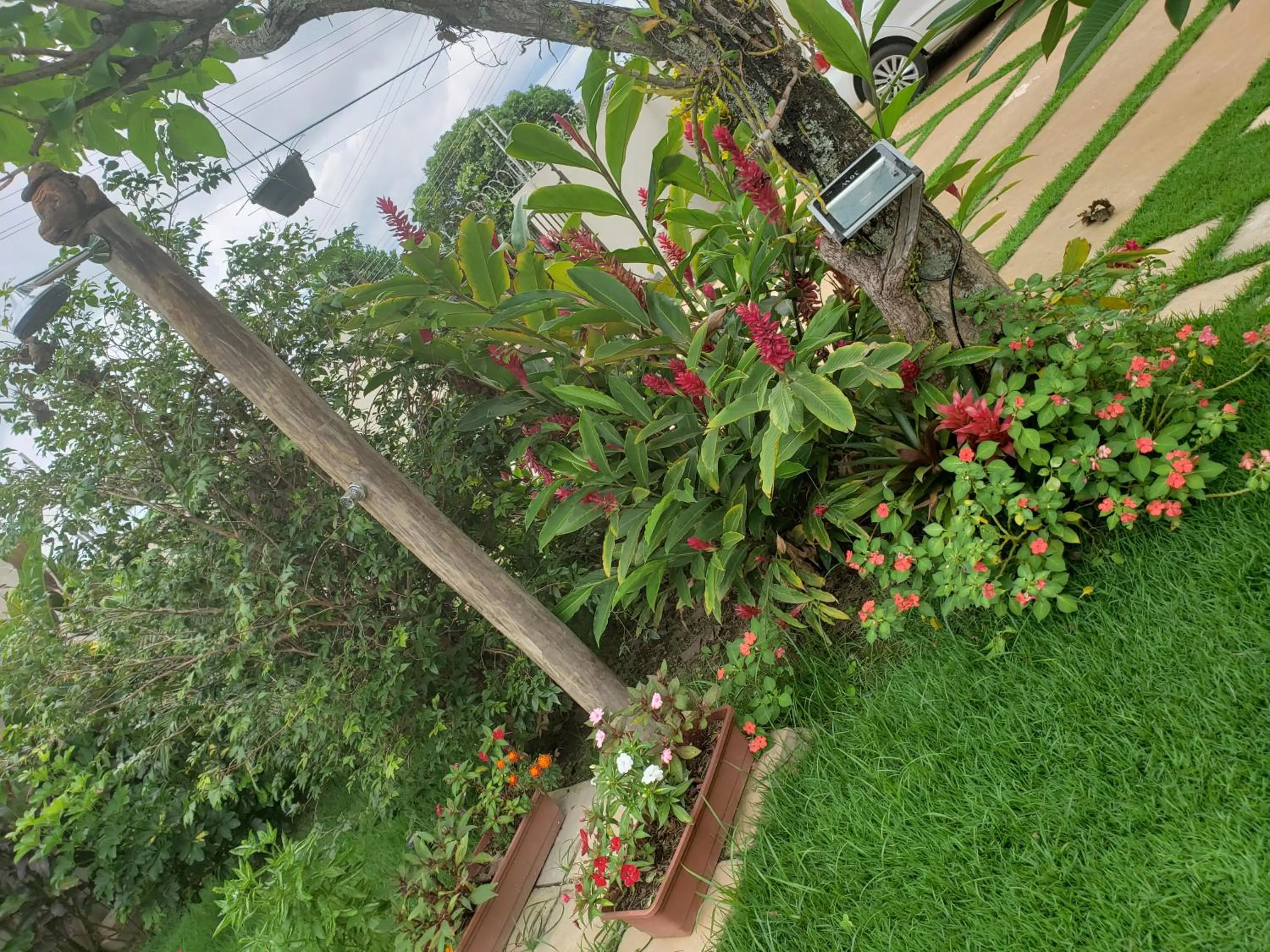 Garden in Pousada das Orquídeas