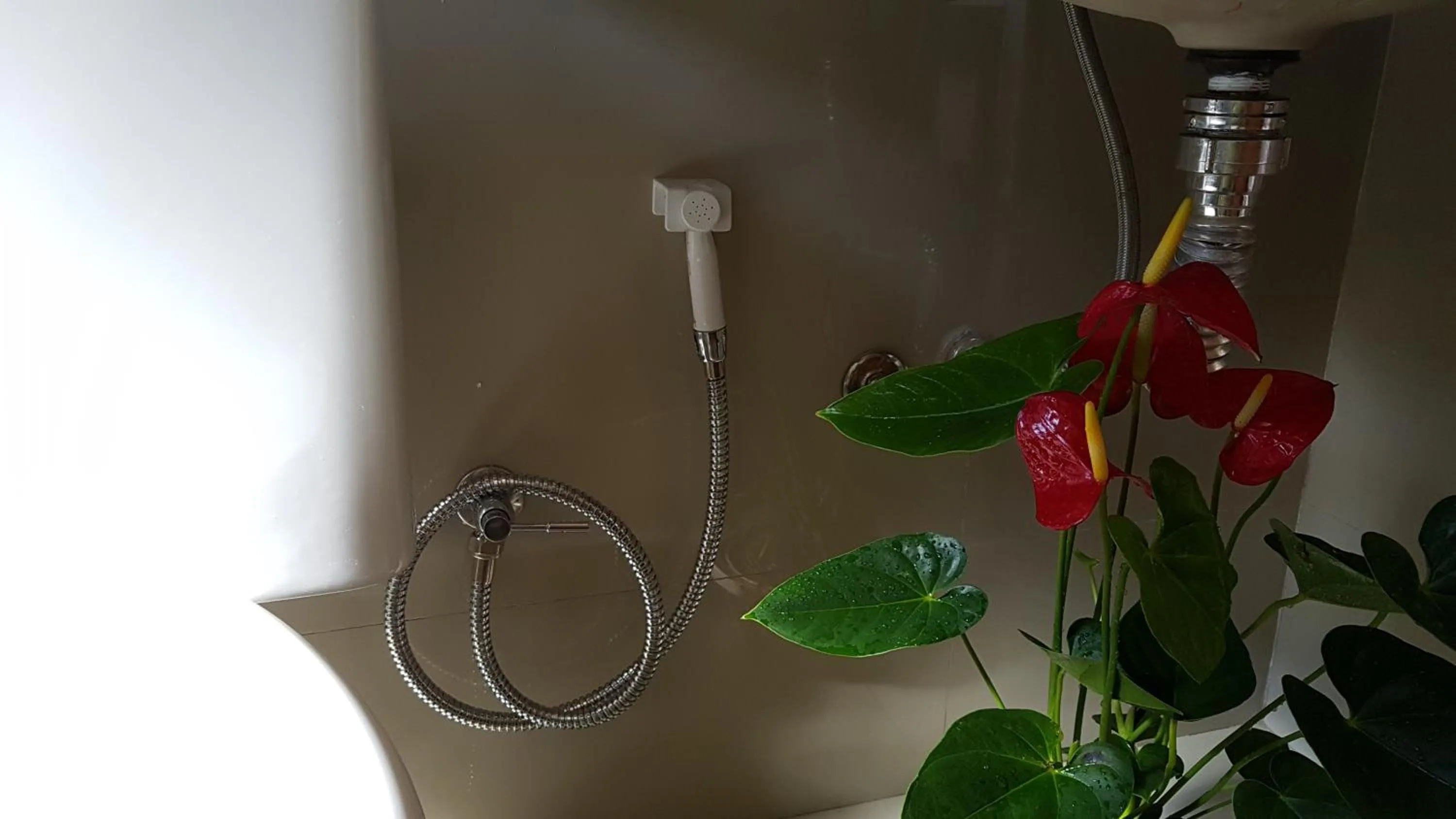 Bathroom in Pousada das Orquídeas