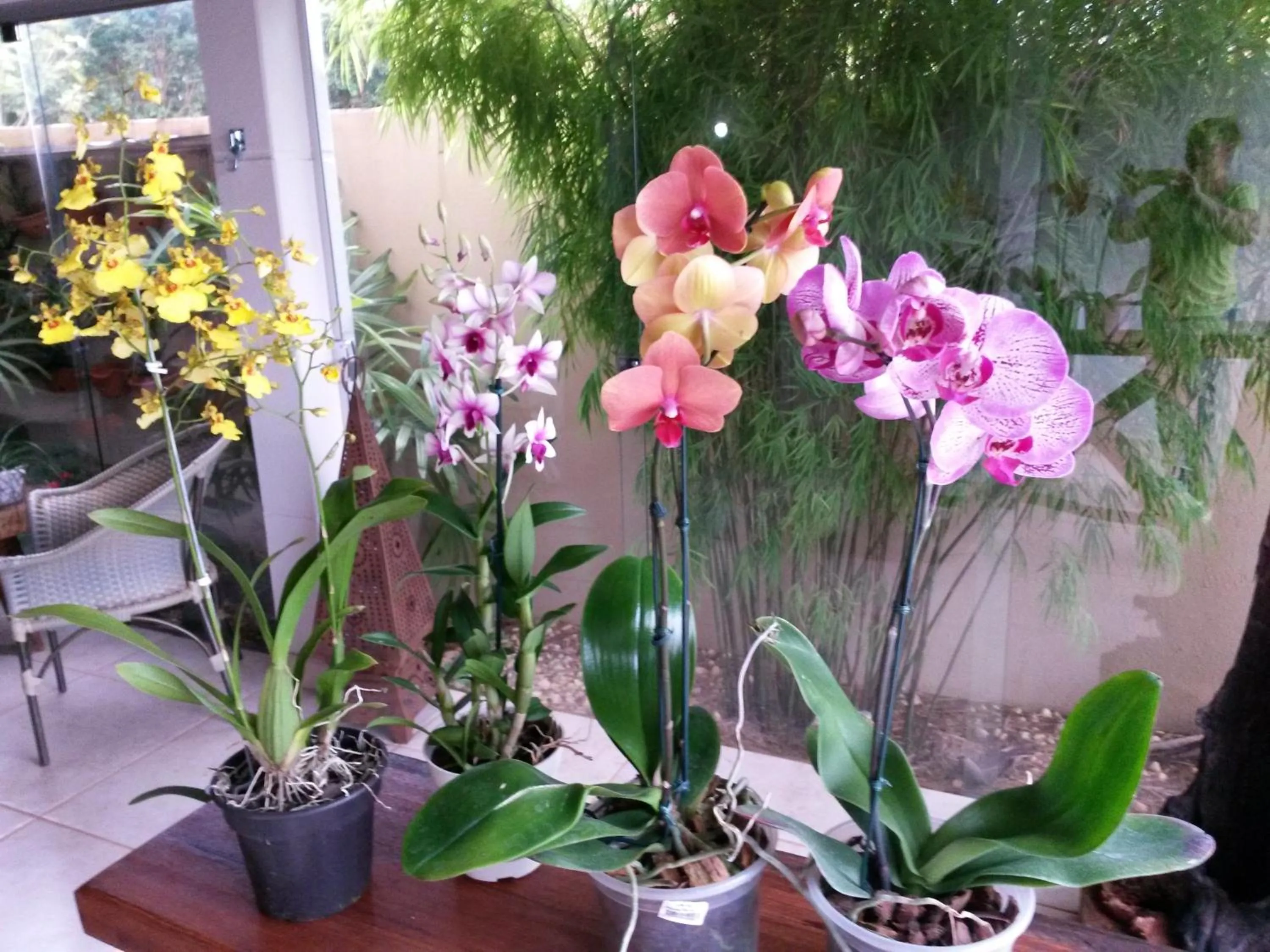 Decorative detail in Pousada das Orquídeas