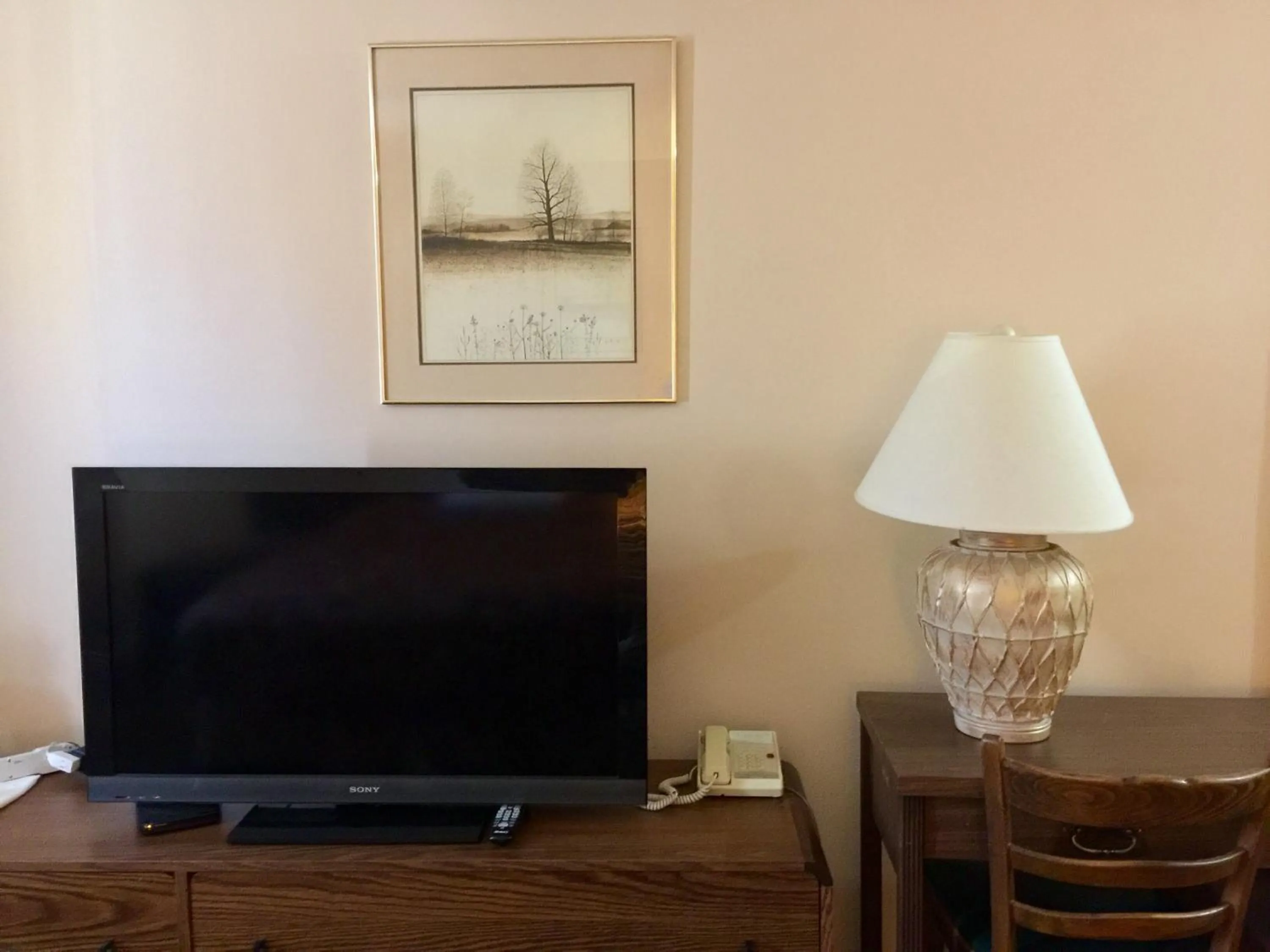 TV and multimedia in Villagers Inn