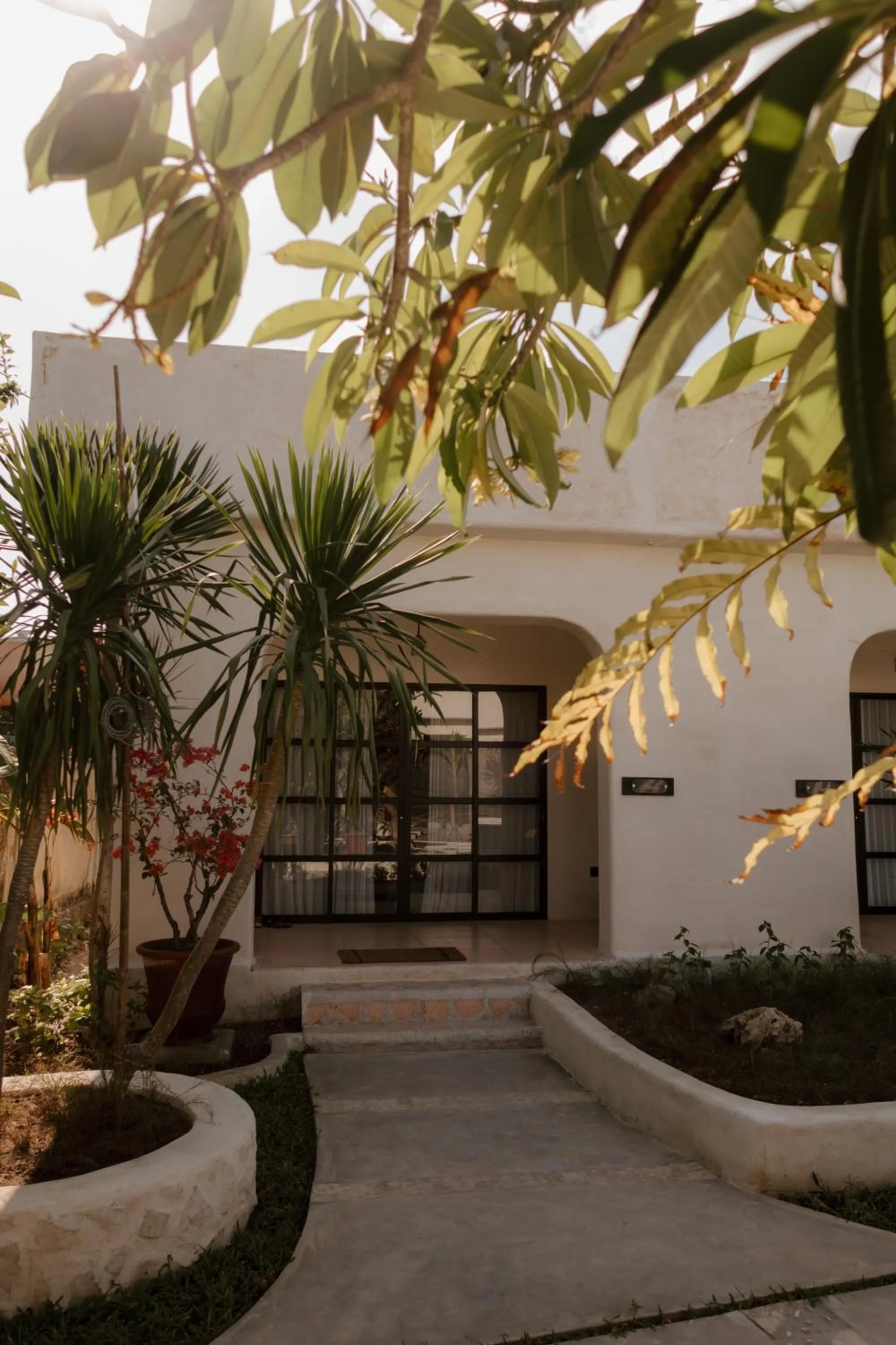 Property building in El Campo Mushroom