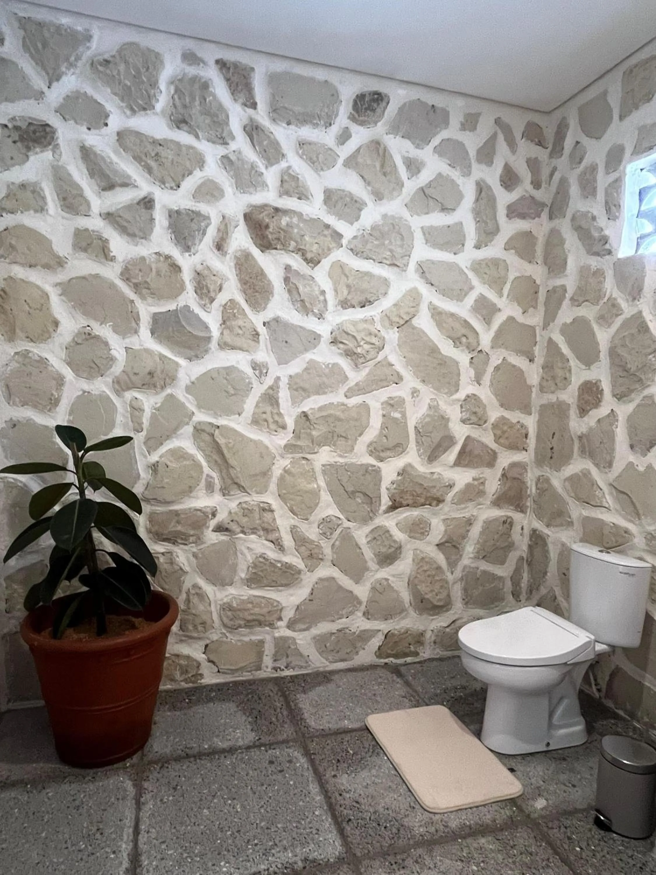 Toilet in El Campo Mushroom