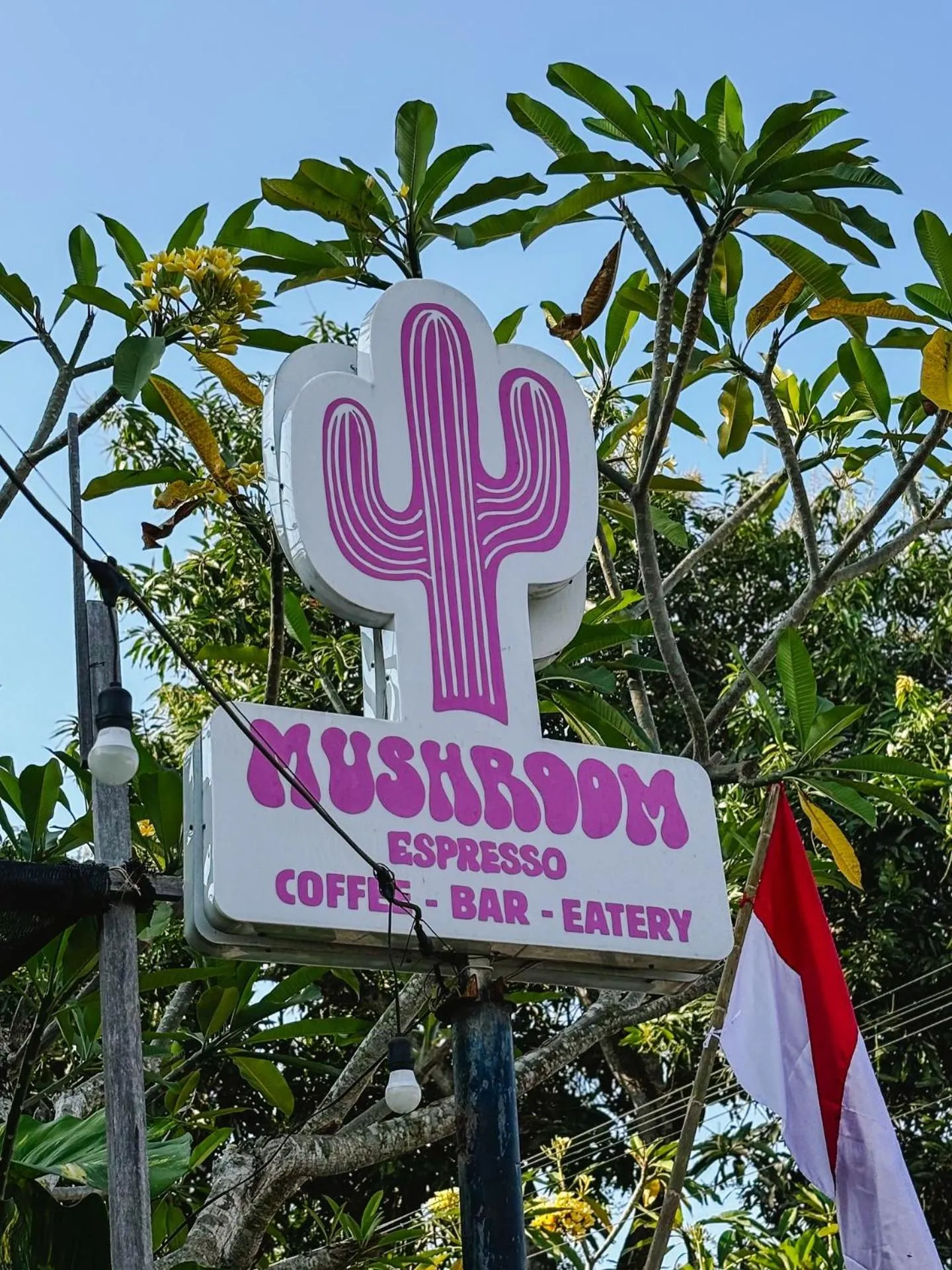 Restaurant/places to eat in El Campo Mushroom