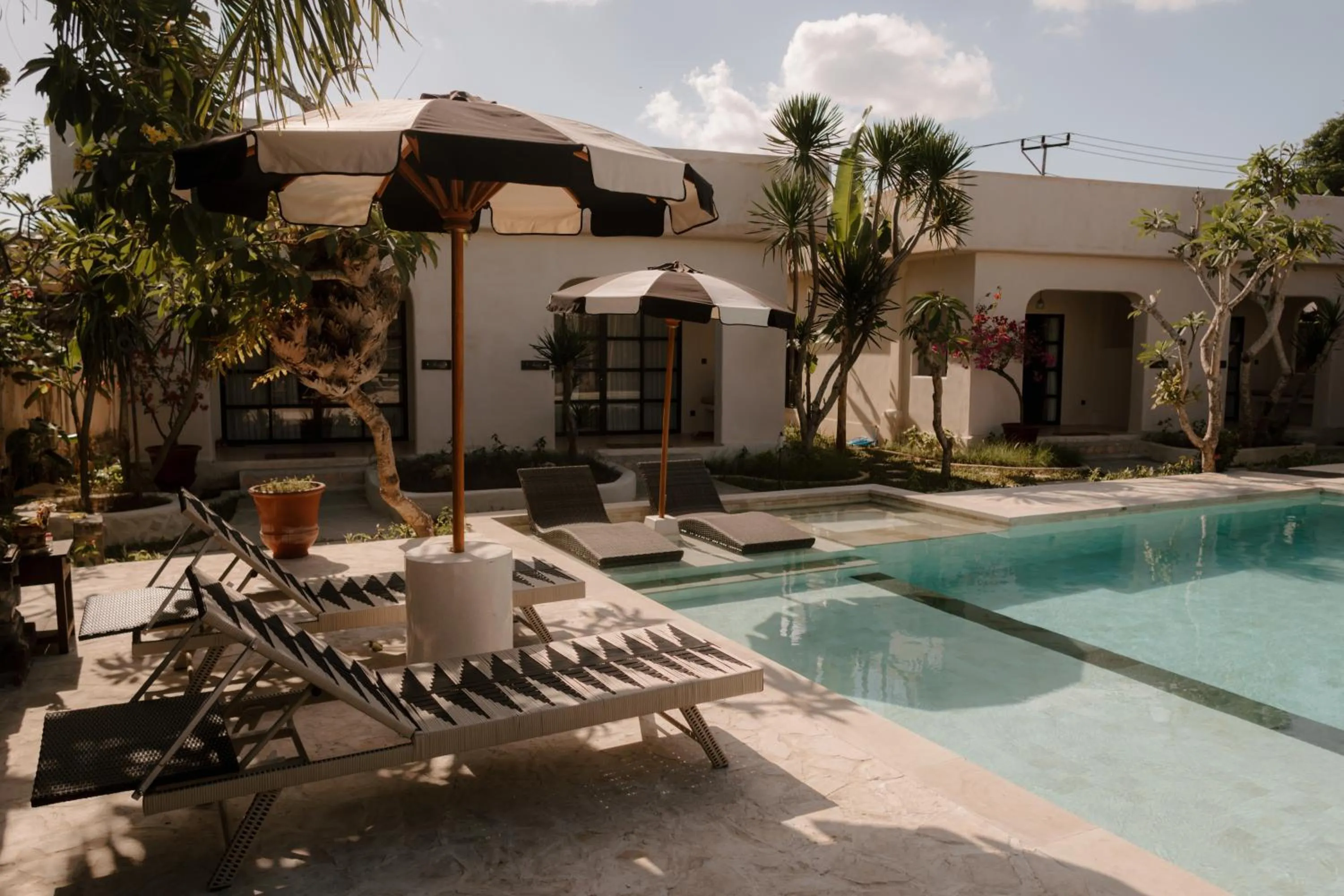 Property building in El Campo Mushroom