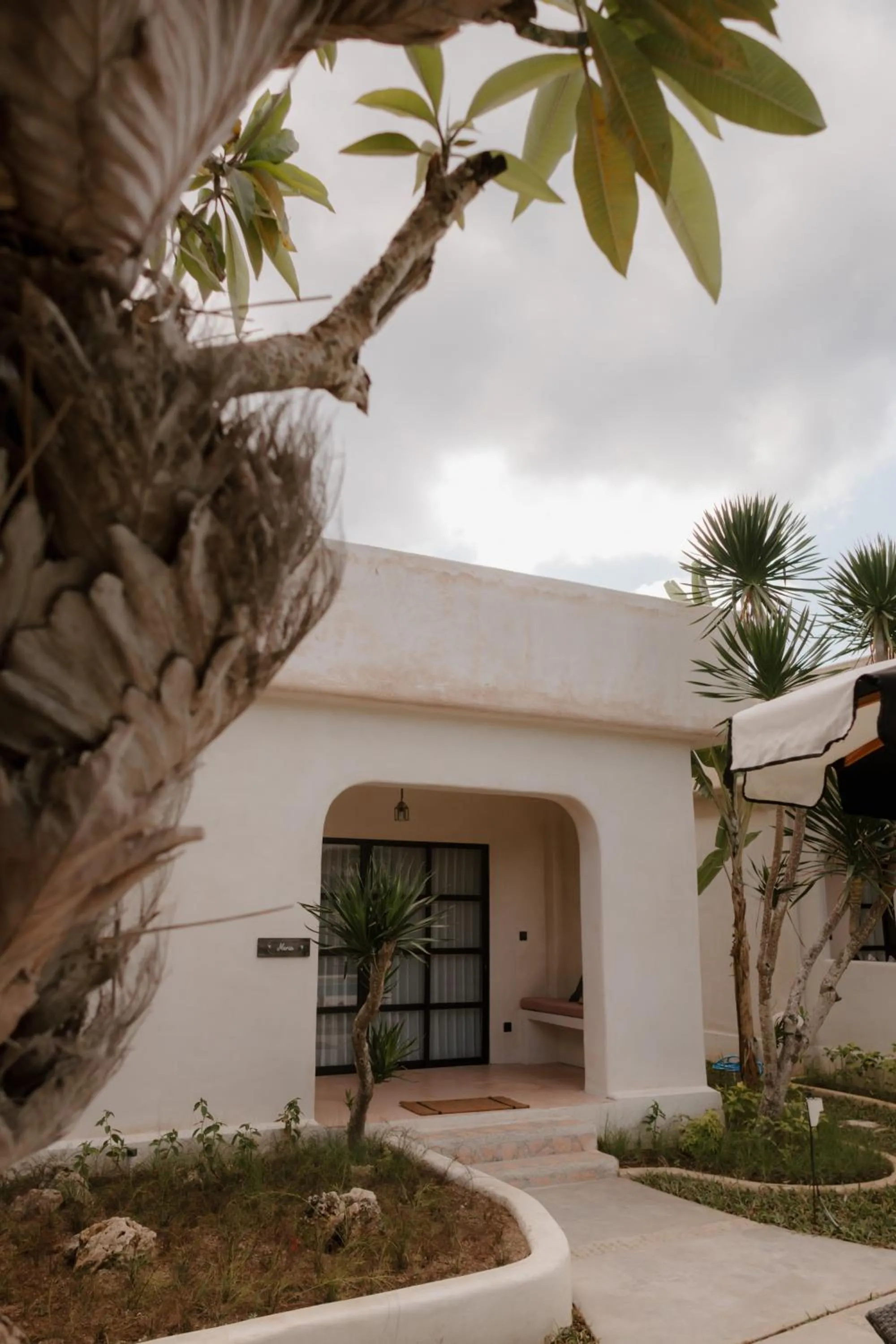 Property building in El Campo Mushroom