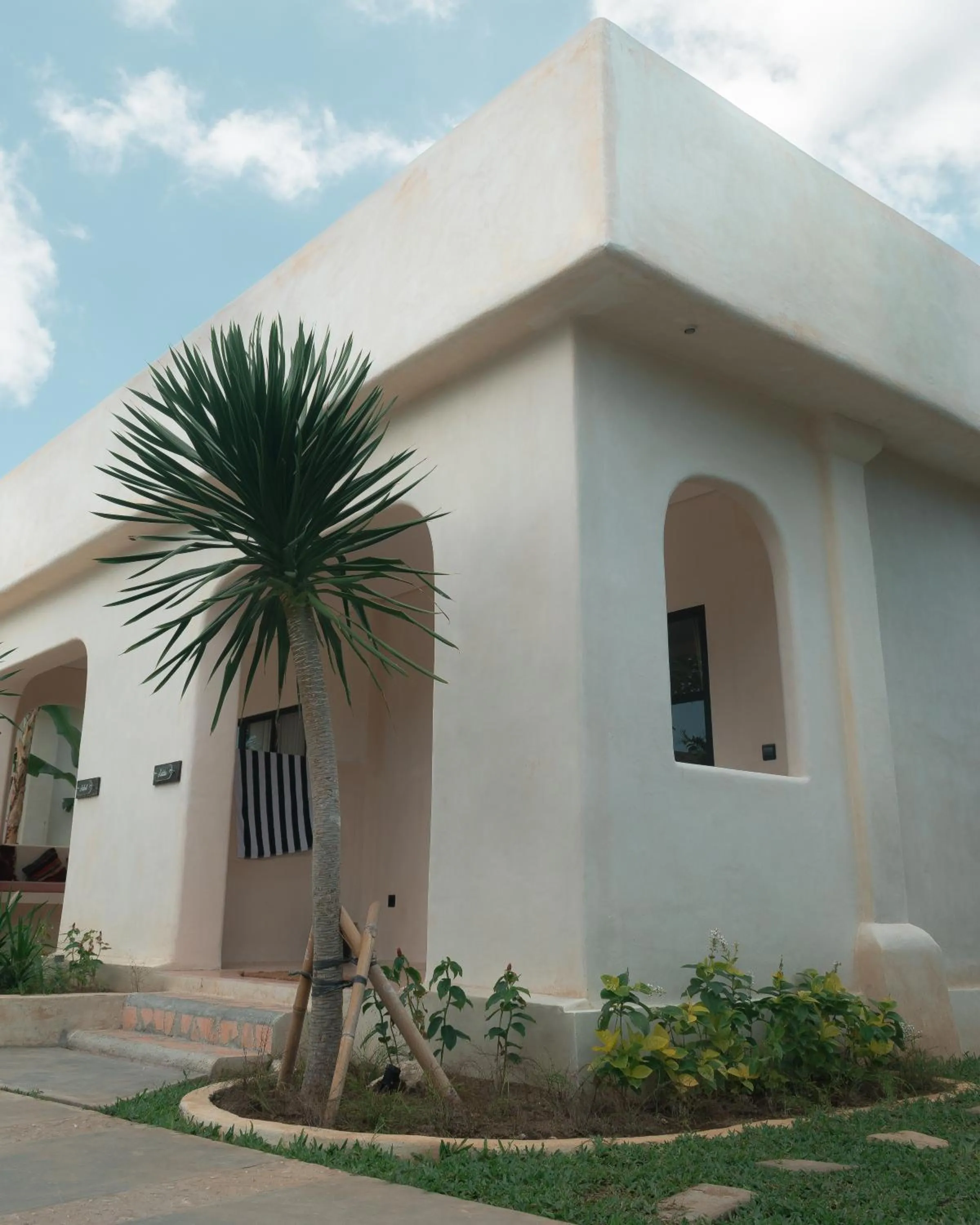 Property building in El Campo Mushroom