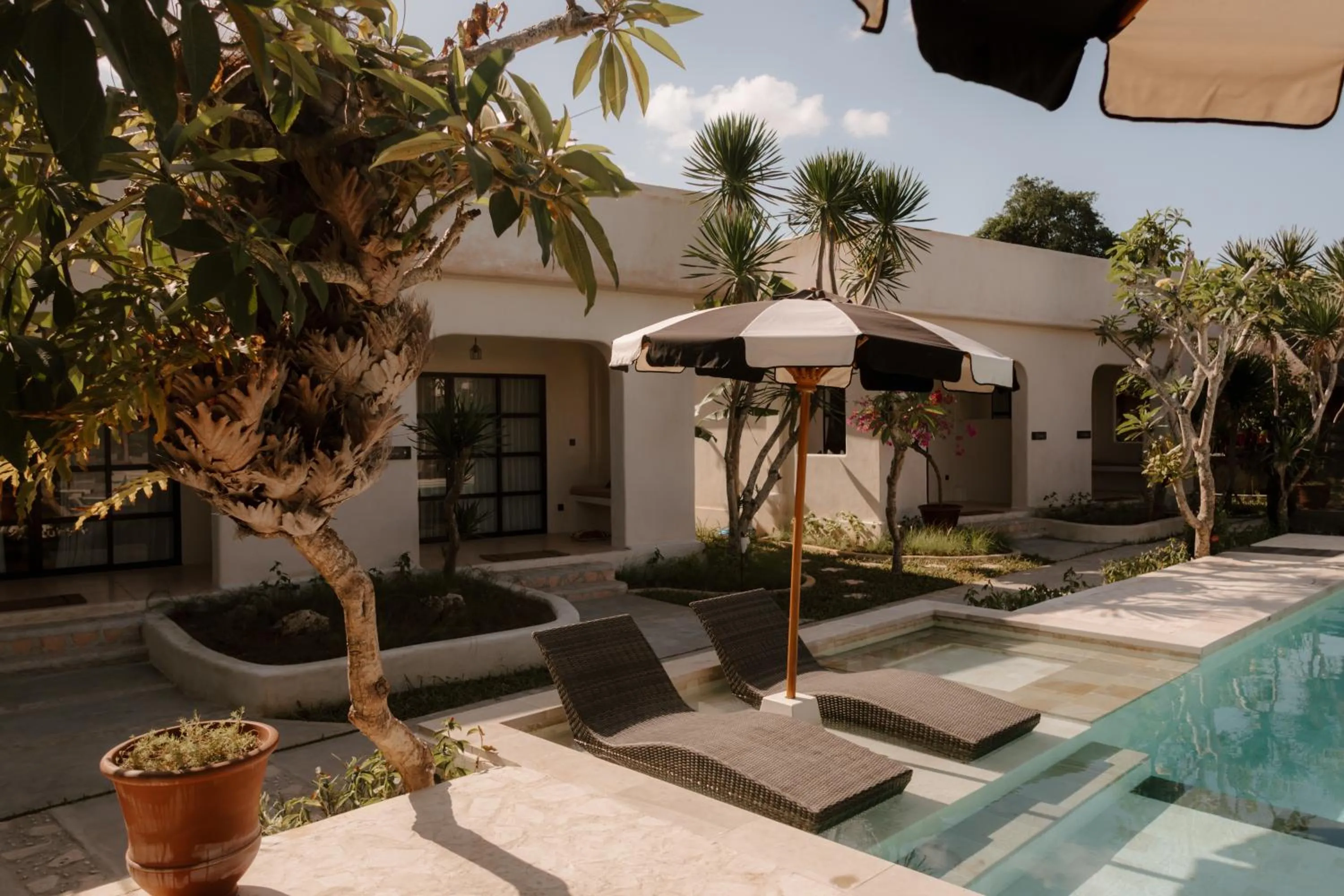 Property building in El Campo Mushroom