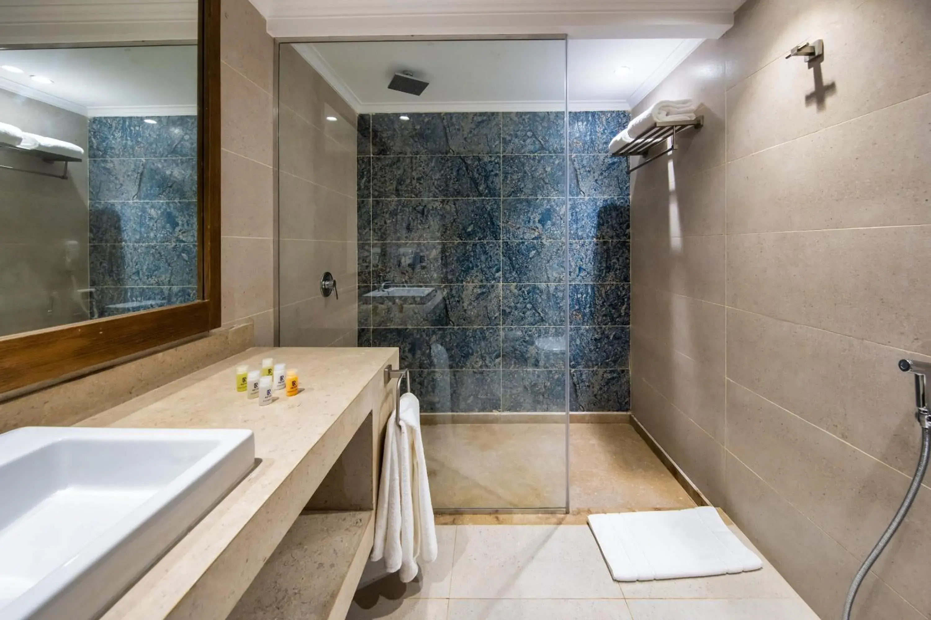 Double Room - single occupancy in Retac Abu Simbel Nefertari Hotel Double Room - single occupancy in Retac Abu Simbel Nefertari Hotel