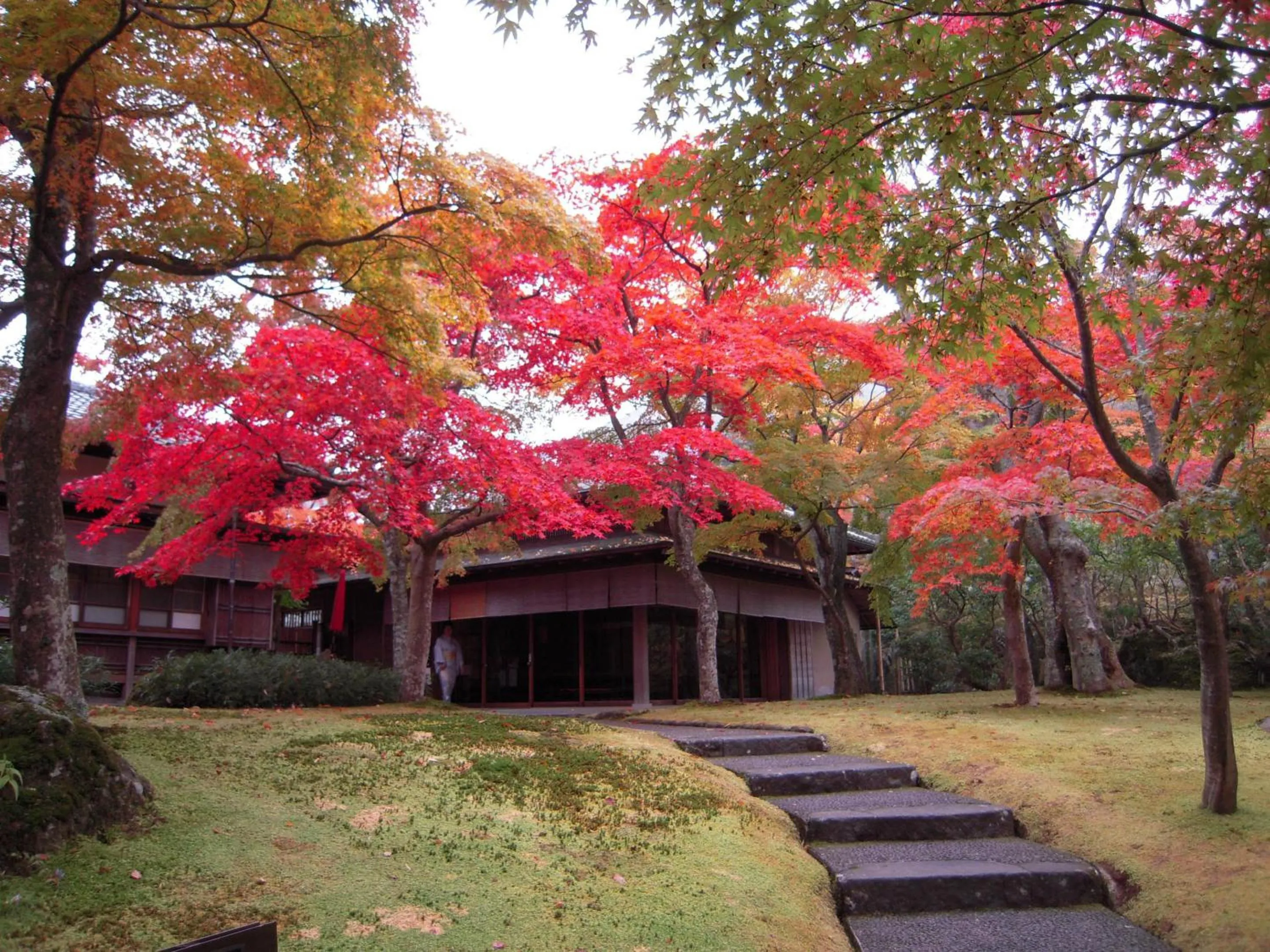 Nearby landmark in TKP Lectore Hakone Gora