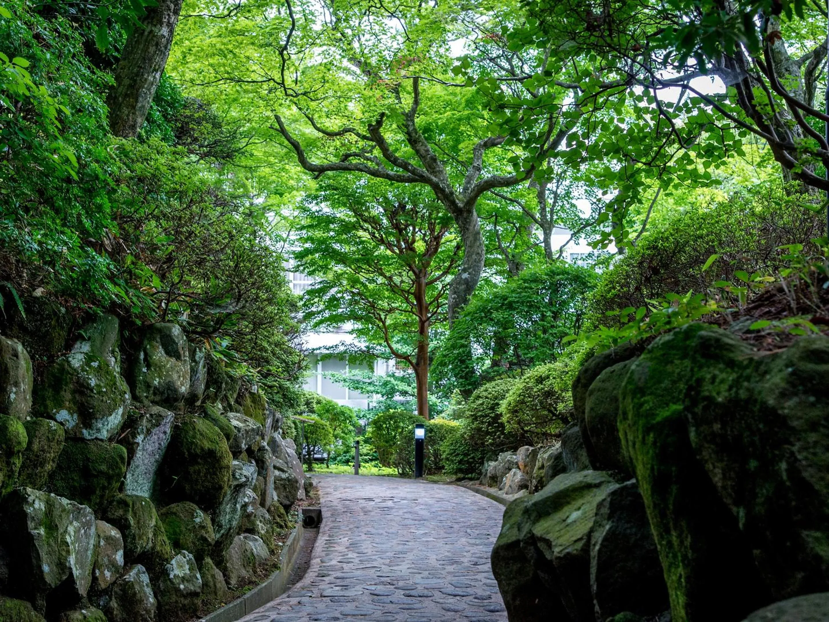 Garden in TKP Lectore Hakone Gora