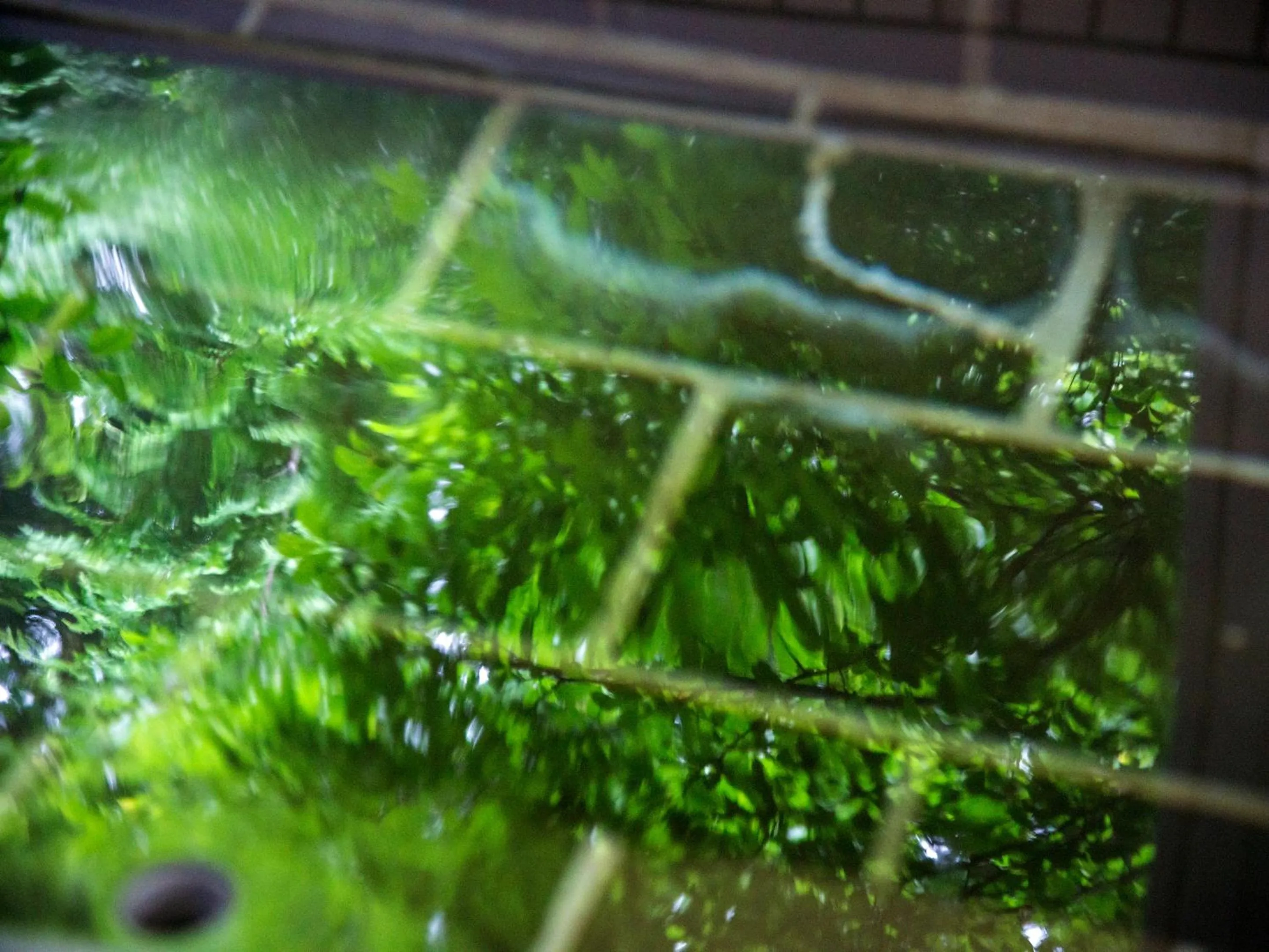 Public Bath in TKP Lectore Hakone Gora