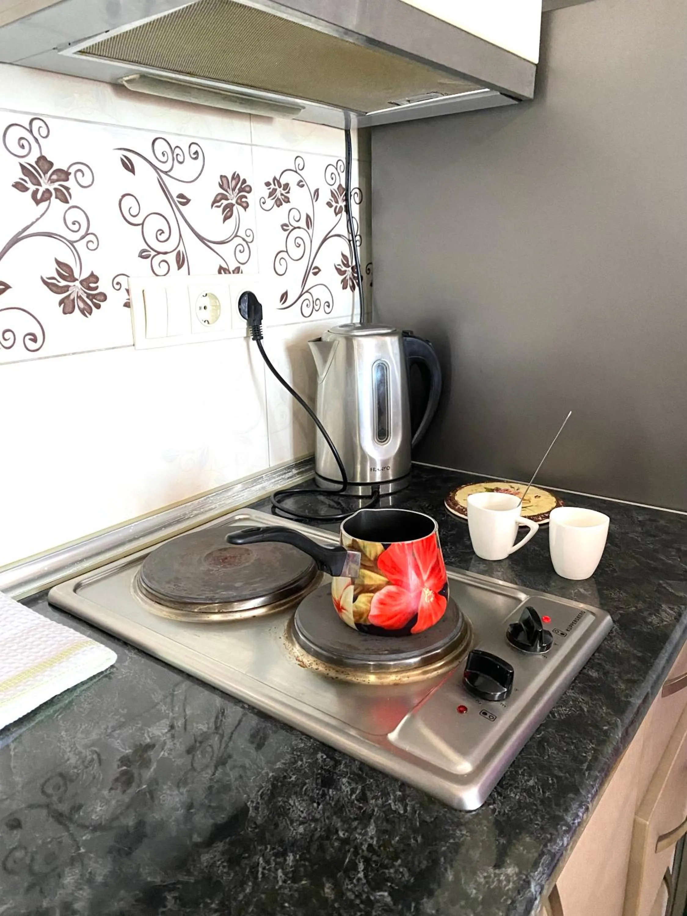 stove in Lela's Apartment
