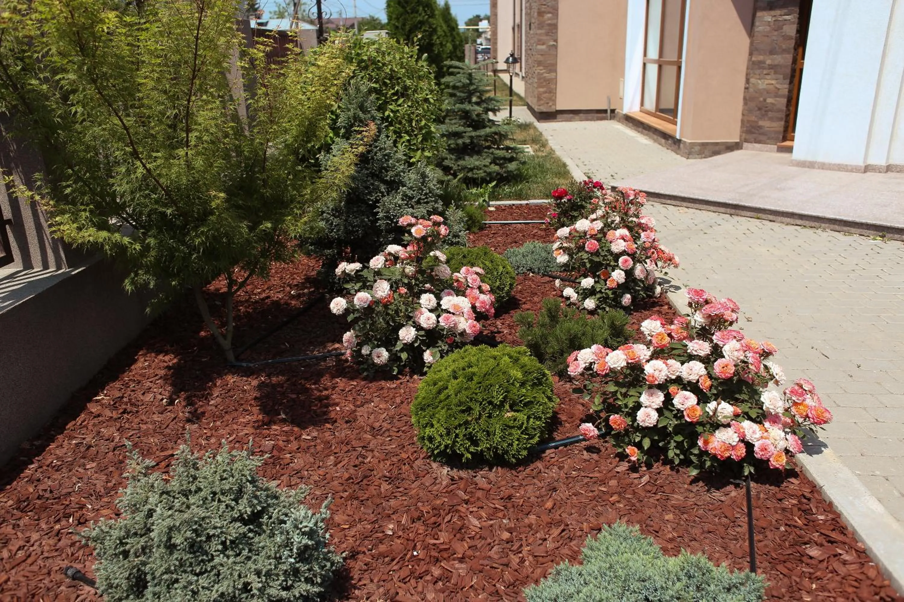 Garden in Hotel Bohemia