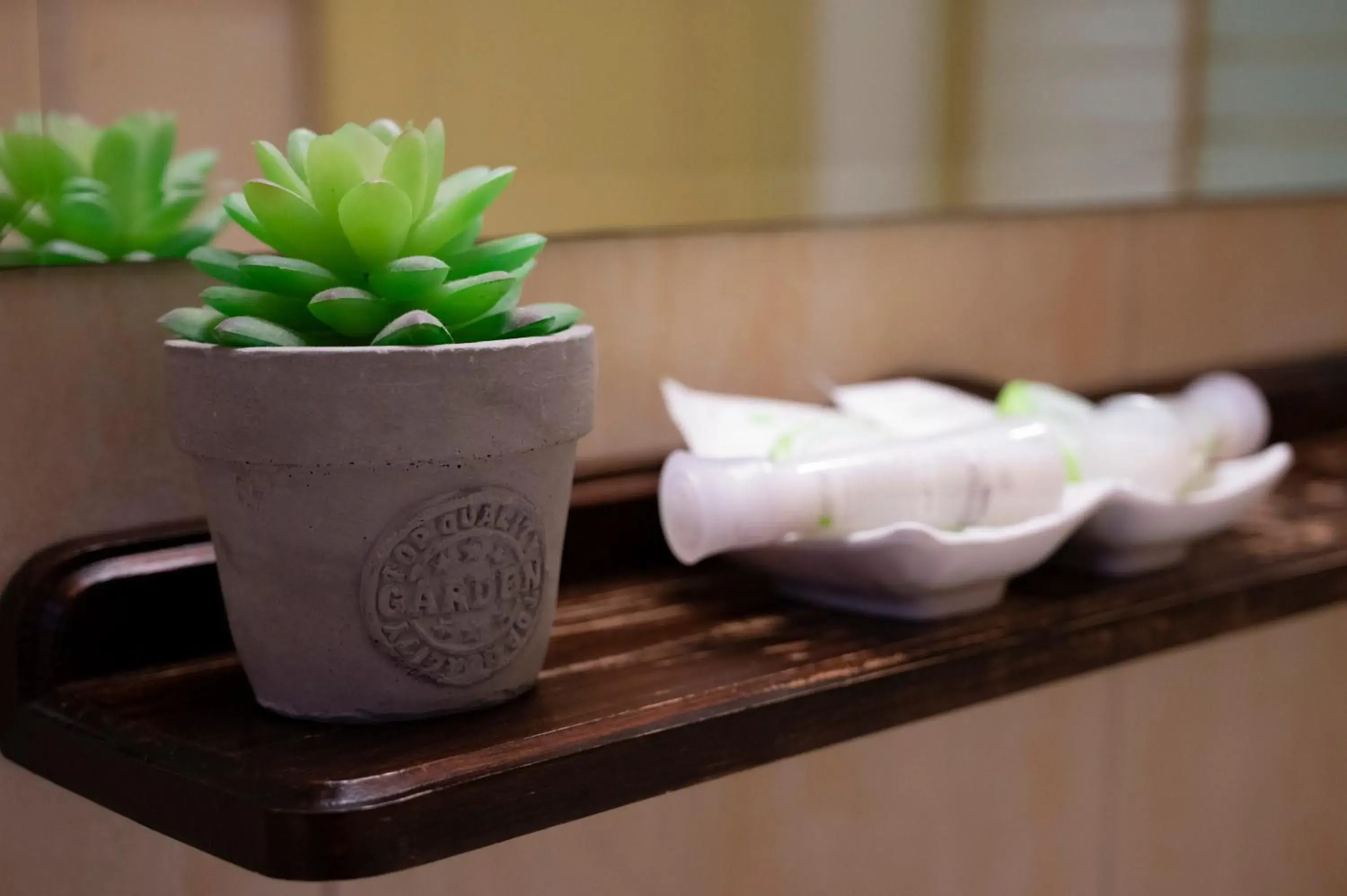 Twin Room - single occupancy in Hotel Bohemia Twin Room - single occupancy in Hotel Bohemia