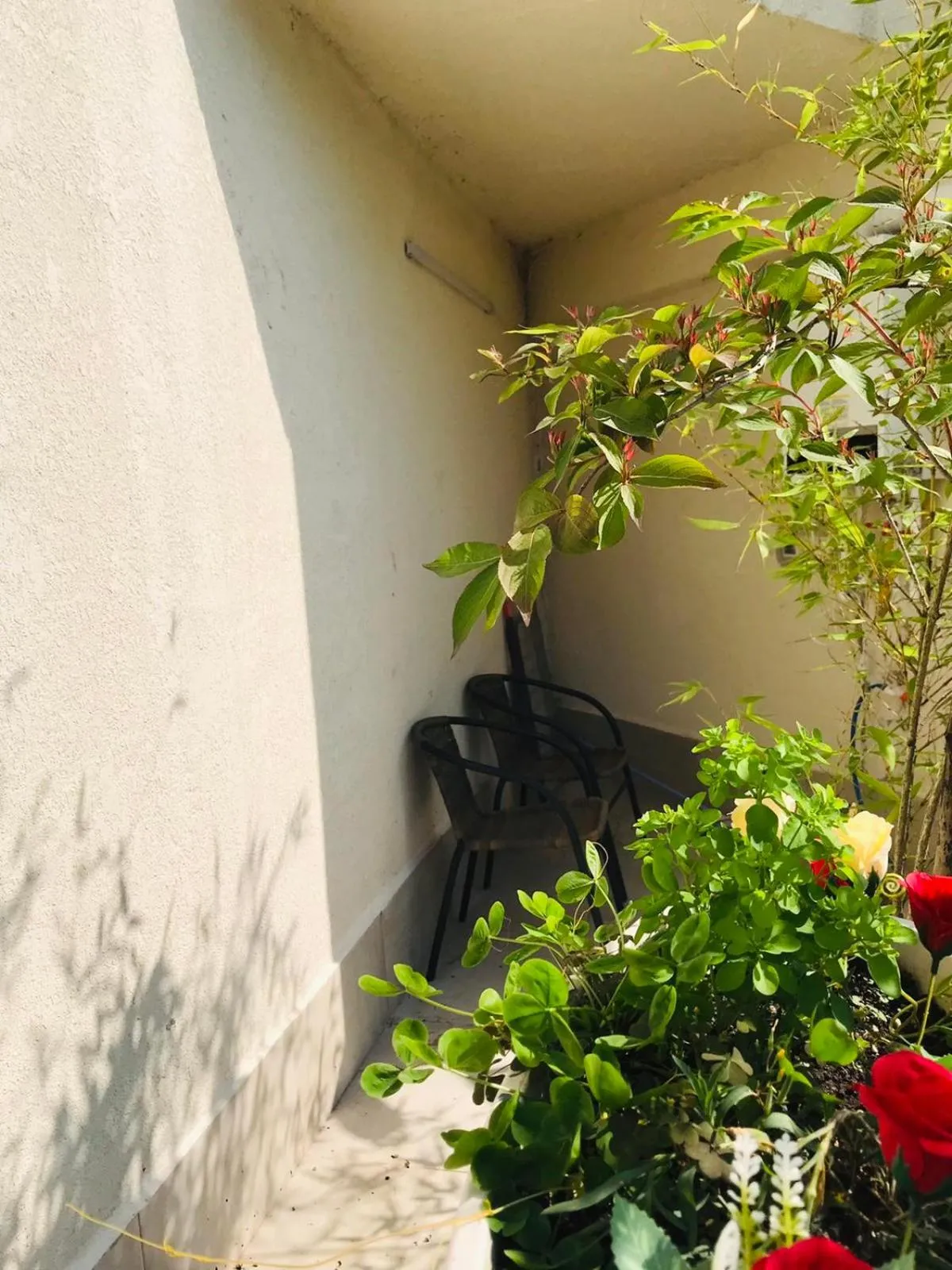 Balcony/Terrace in Villa Del Mar