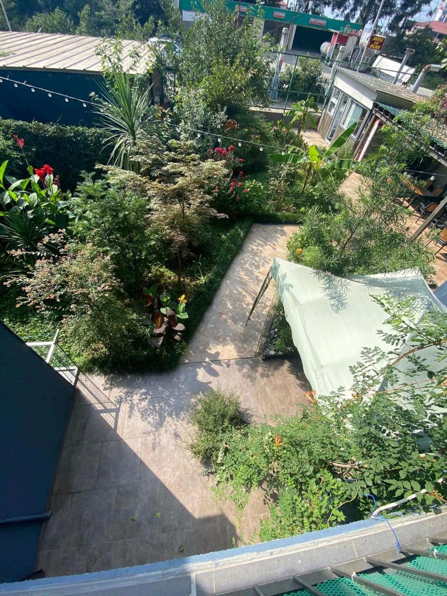 Garden in Villa Del Mar