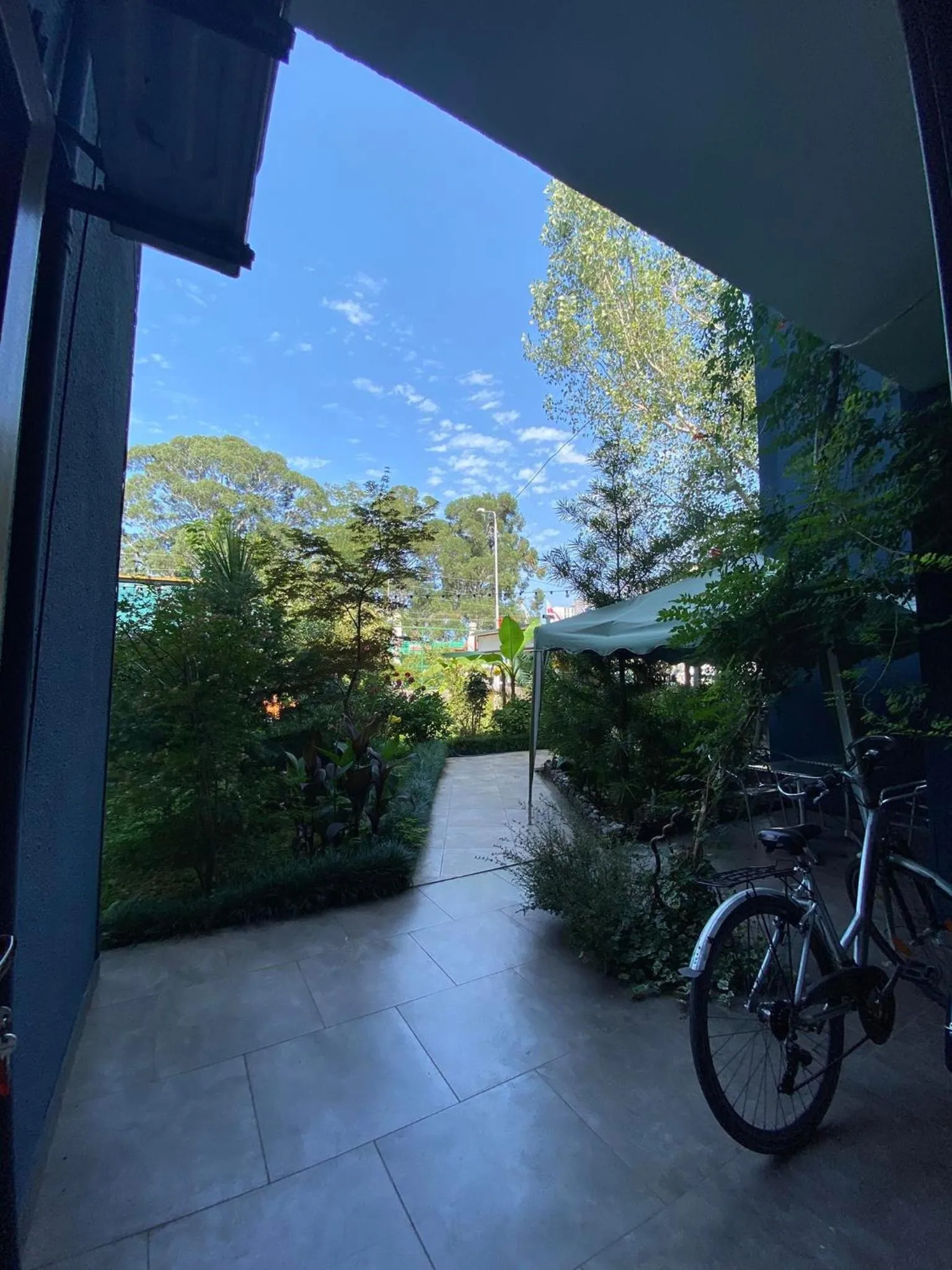 Garden in Villa Del Mar