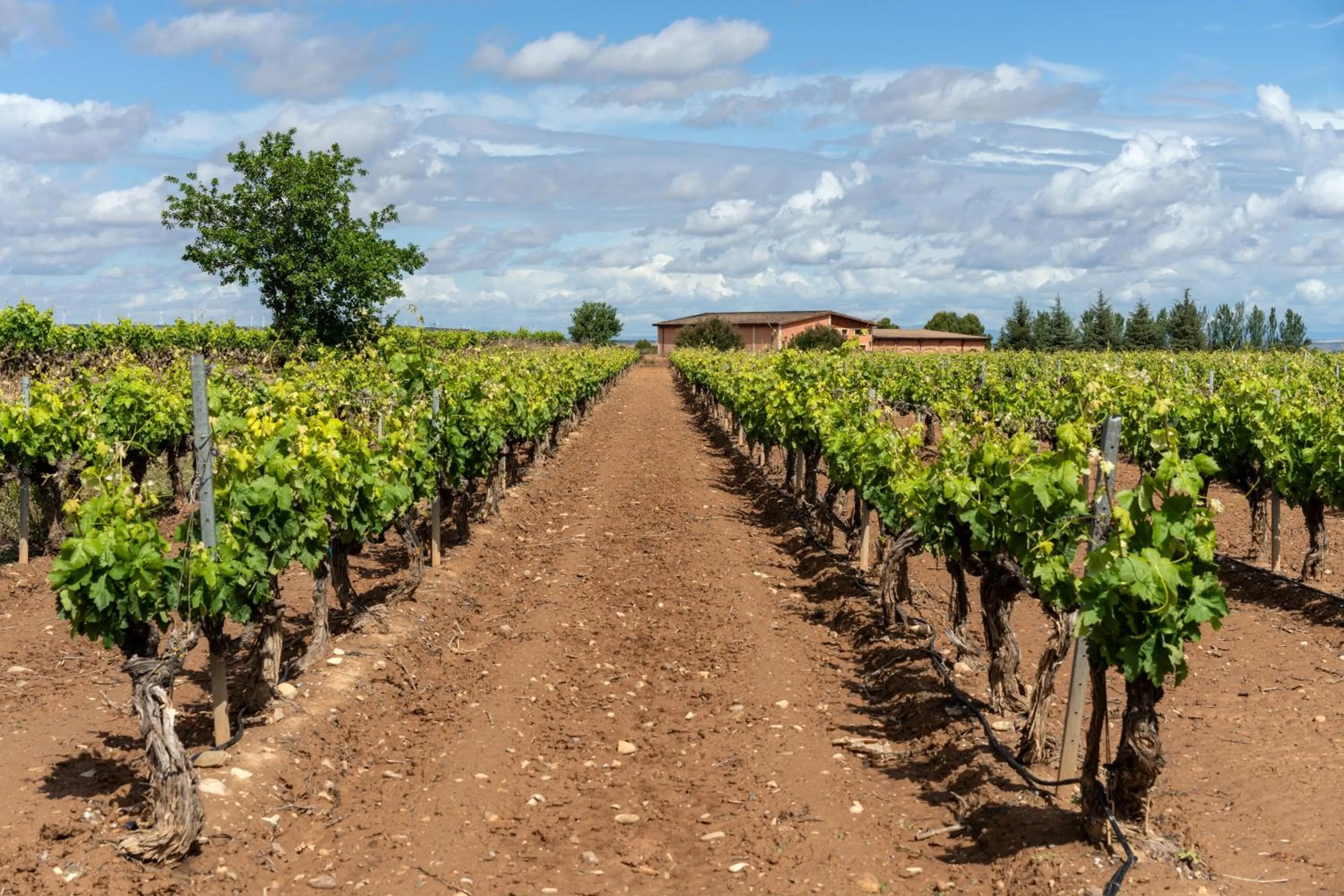 Entertainment in Parador de Calahorra