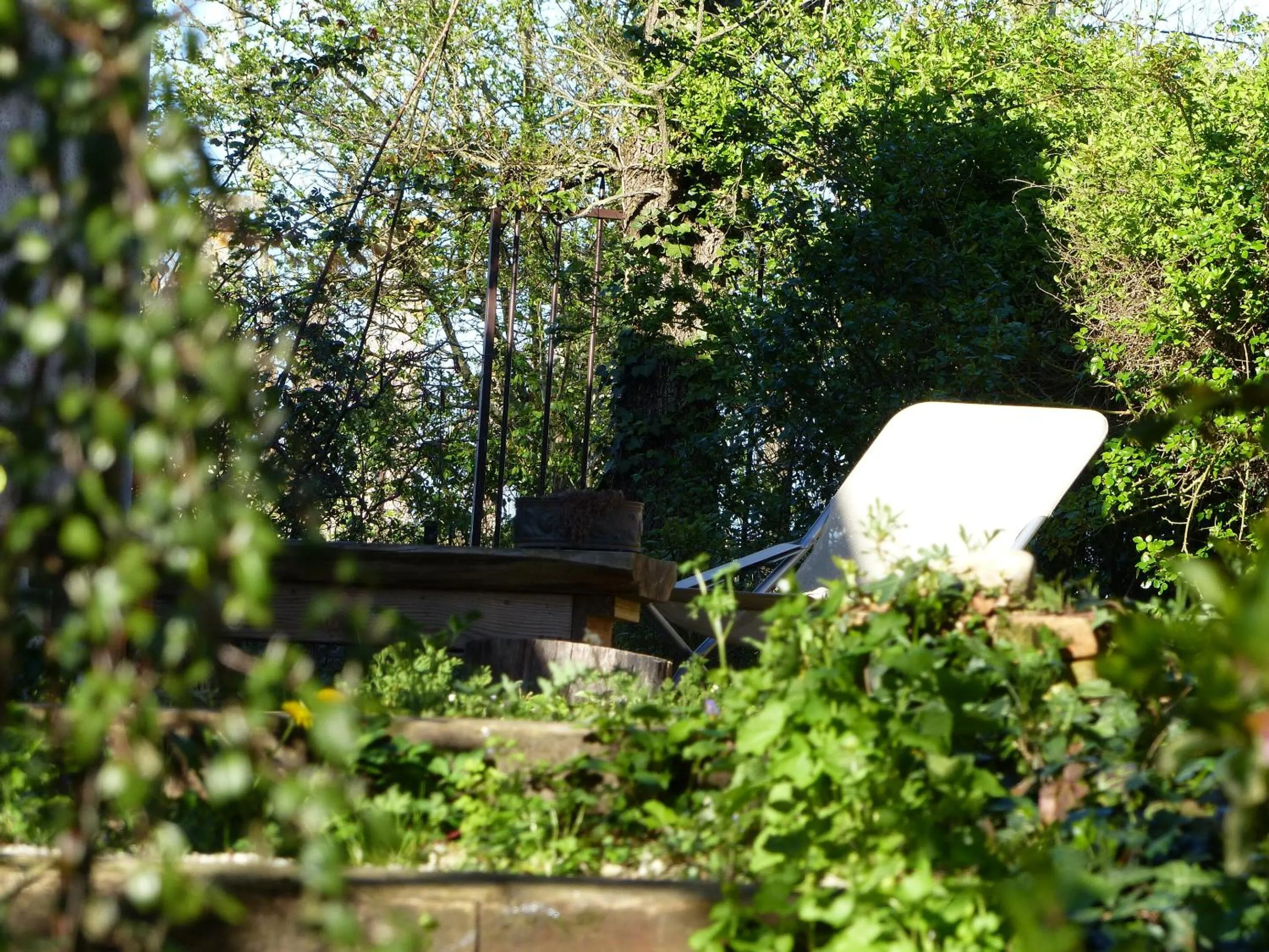 Property building in Absolut Oiseaux