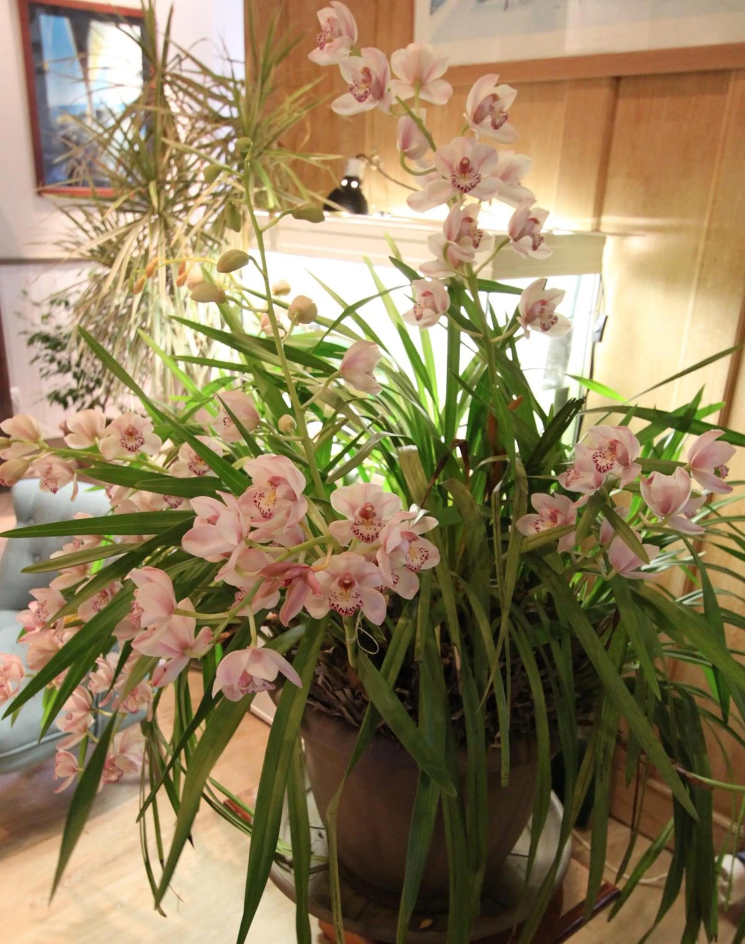 Decorative detail in Hotel des Abers