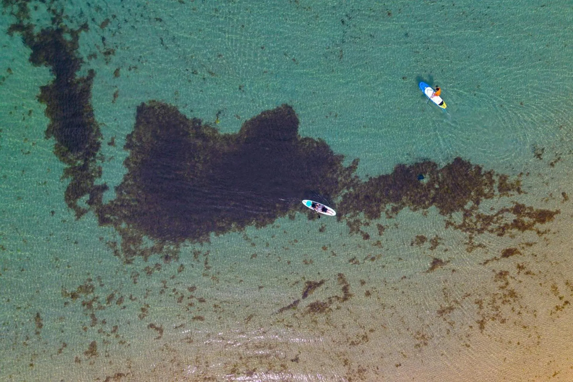 The Ocean by Owners hotel Yangyang