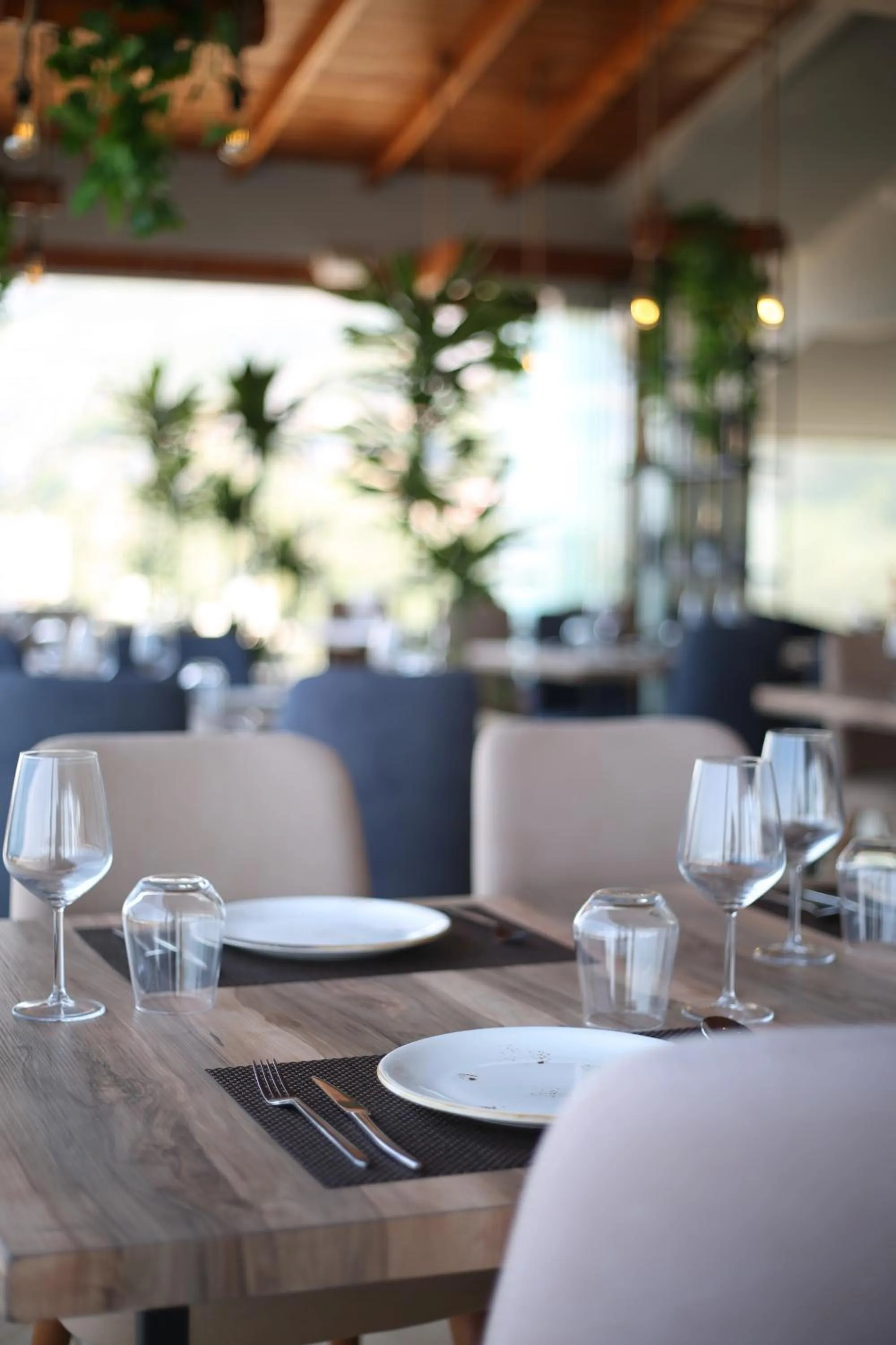 Restaurant/places to eat in Aliko Hotel