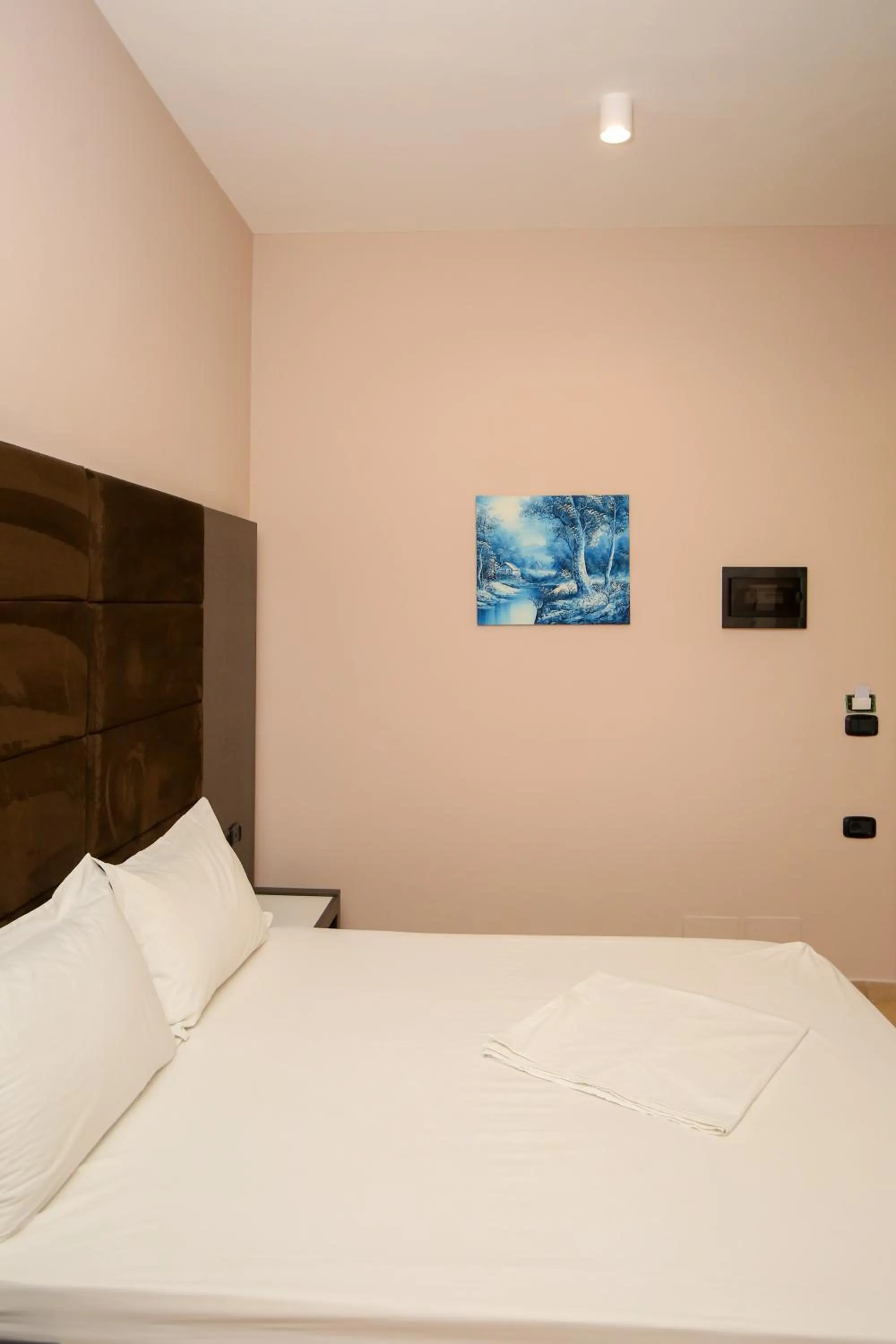 Photo of the whole room in Aliko Hotel