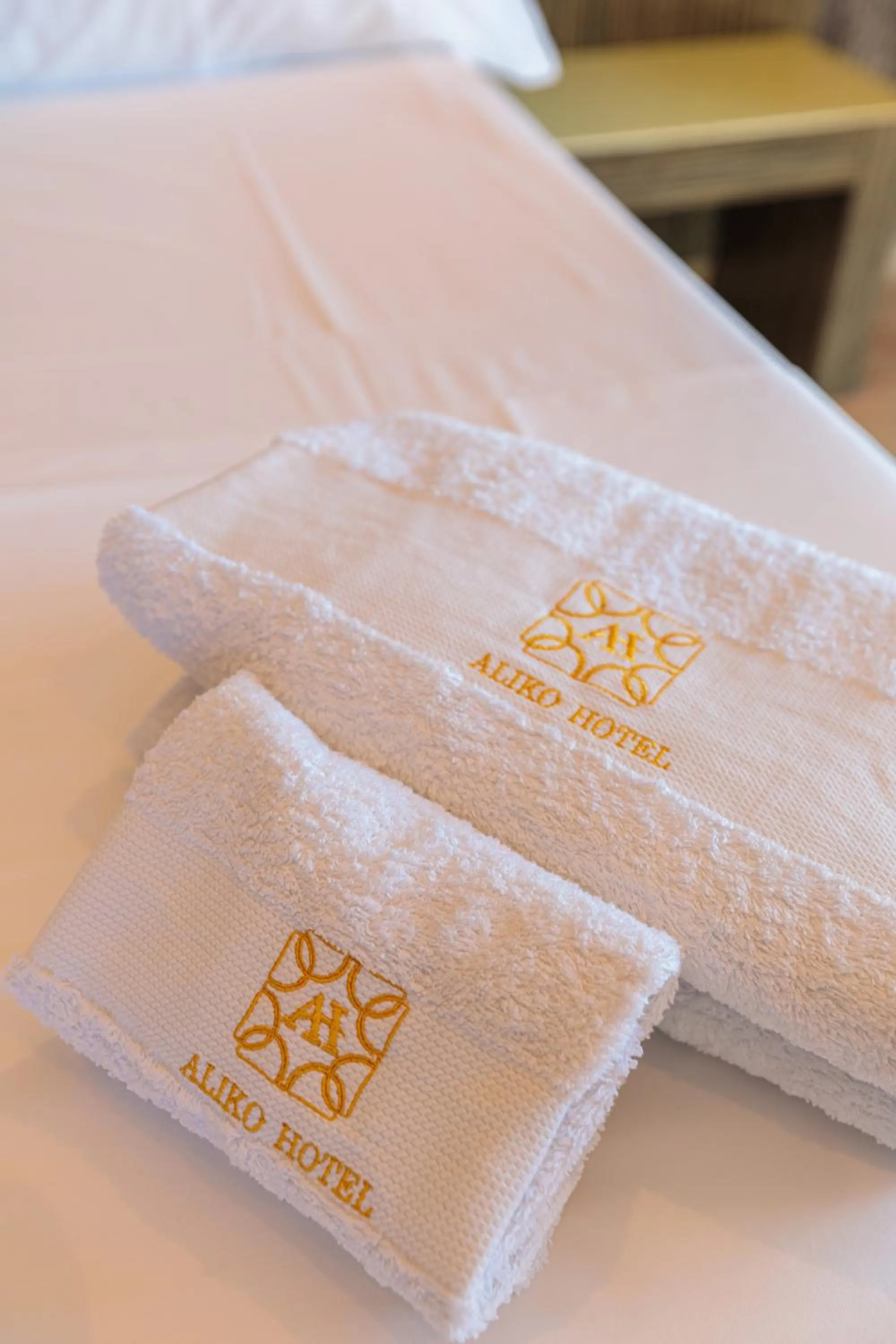 Property logo or sign in Aliko Hotel