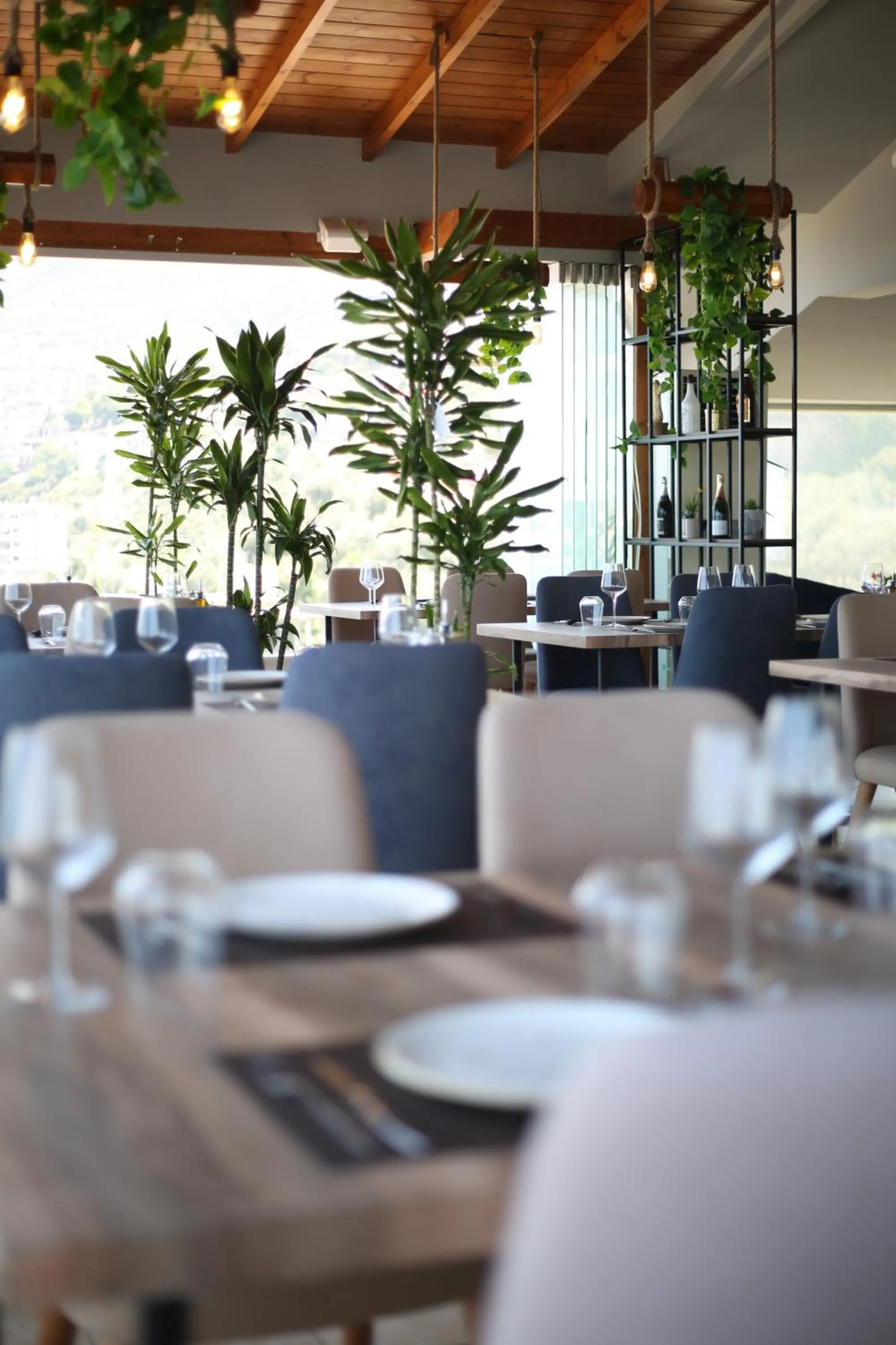 Restaurant/places to eat in Aliko Hotel