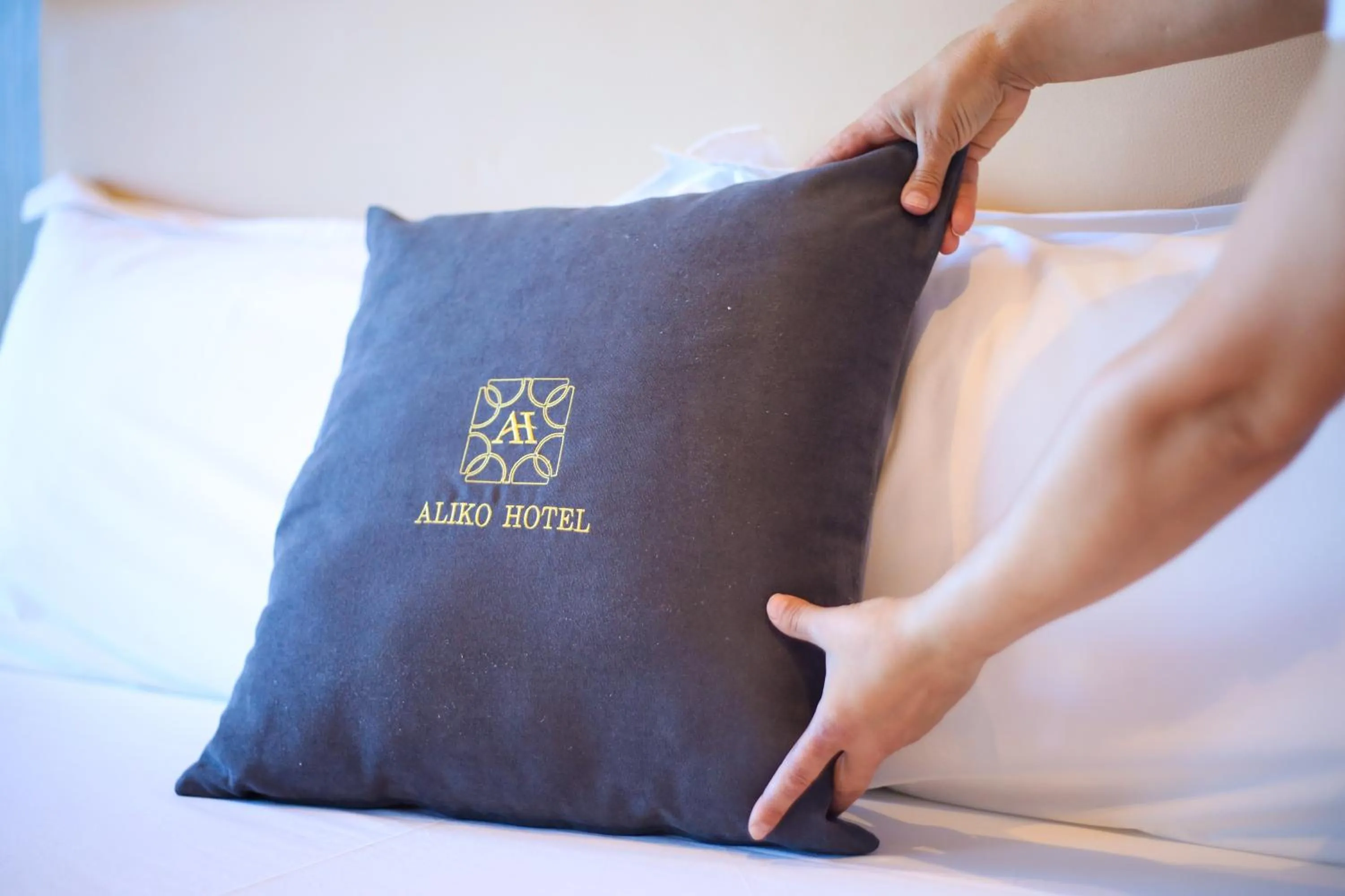 Property logo or sign in Aliko Hotel