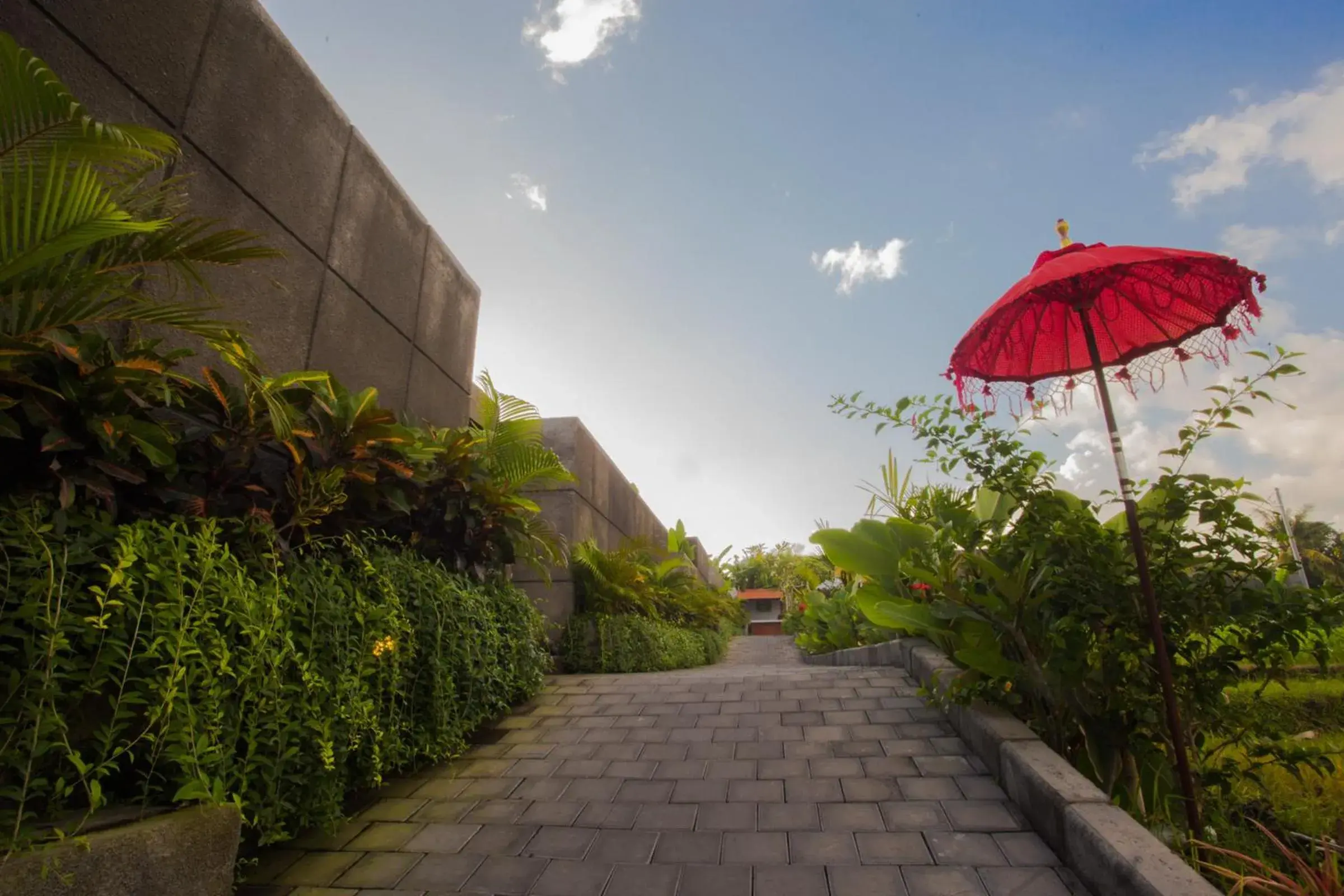Garden in Rama Village Garden in Rama Village