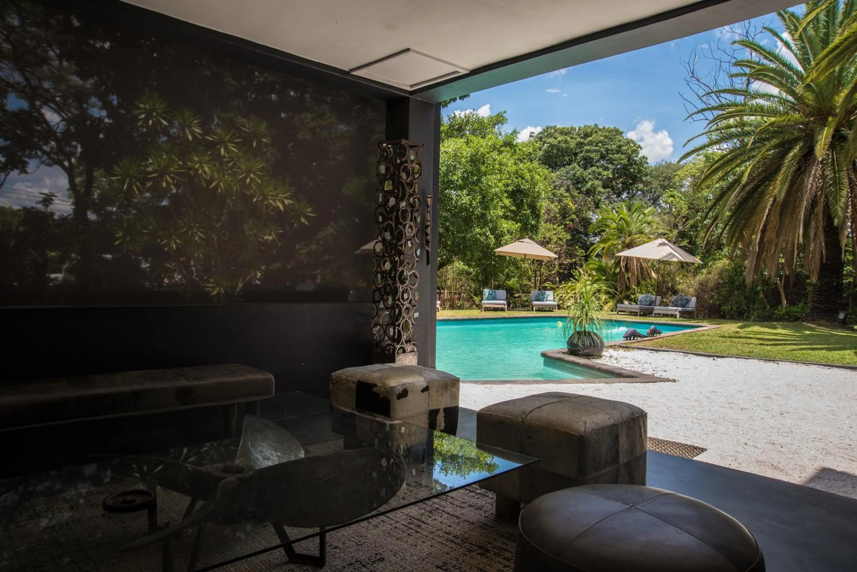 Garden in Latitude 13 Degrees