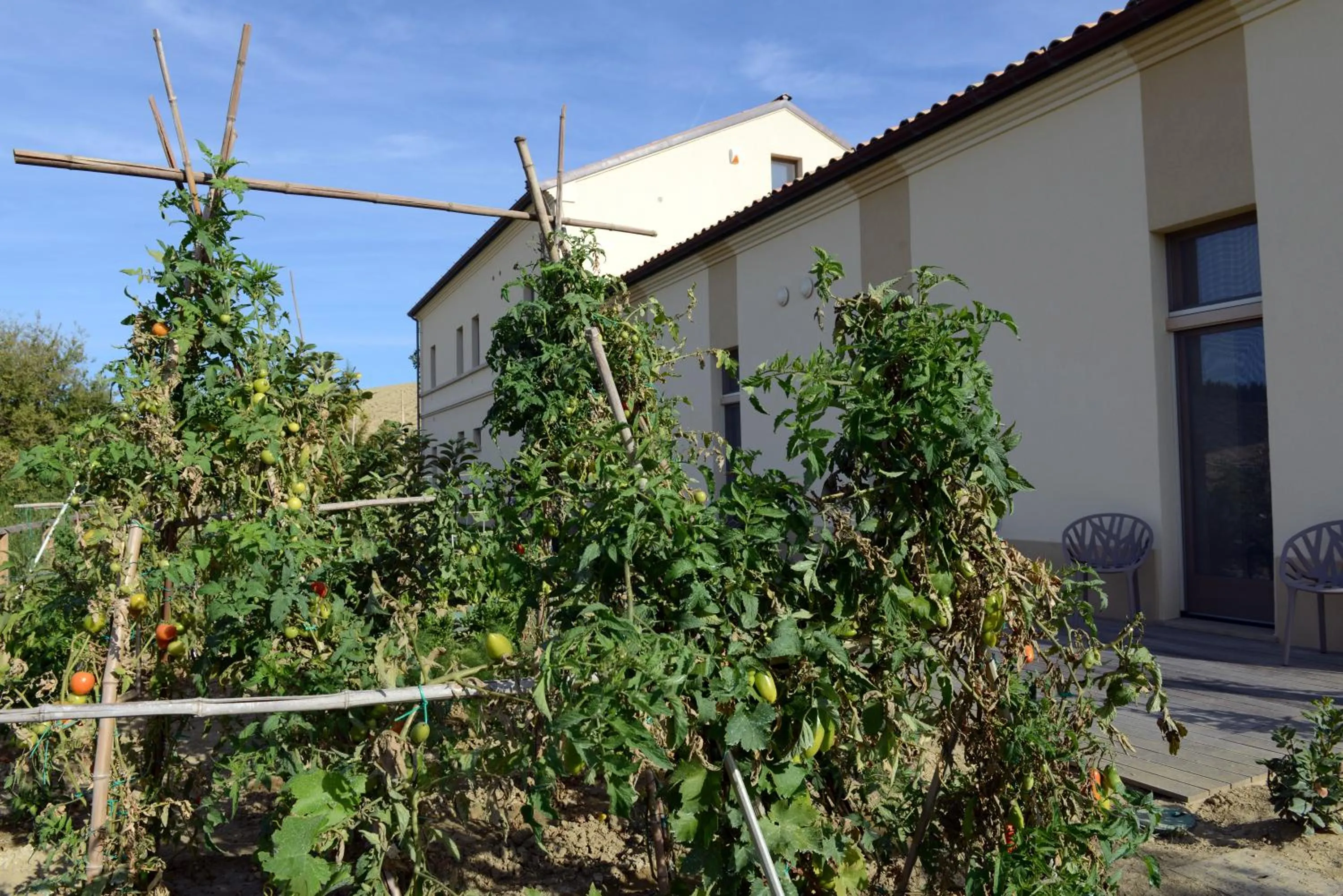 Food and drinks in Resort Il Gallo Senone