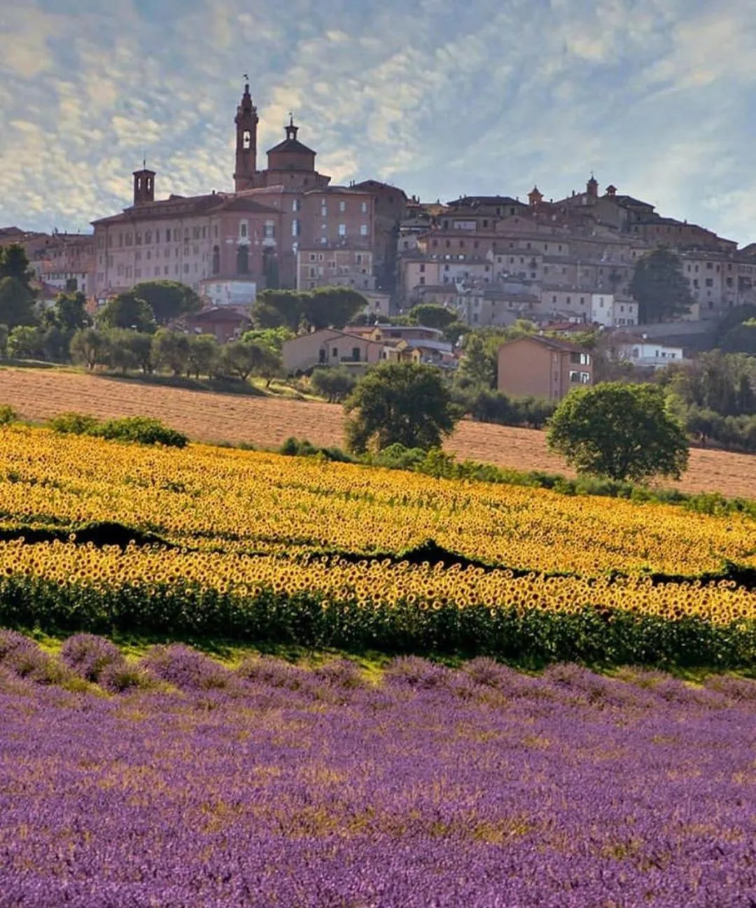 Nearby landmark in Resort Il Gallo Senone