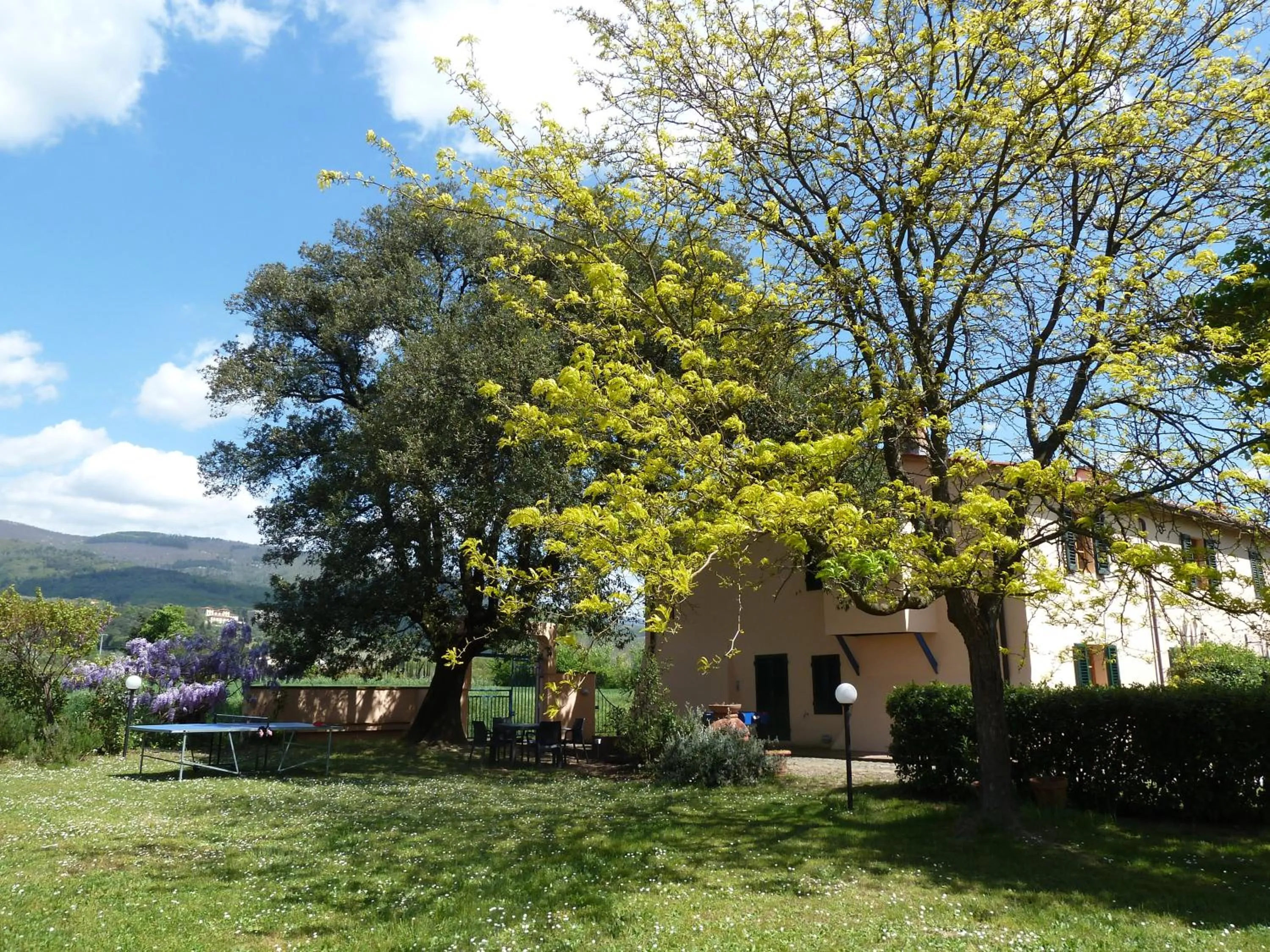 Al Vecchio Leccio