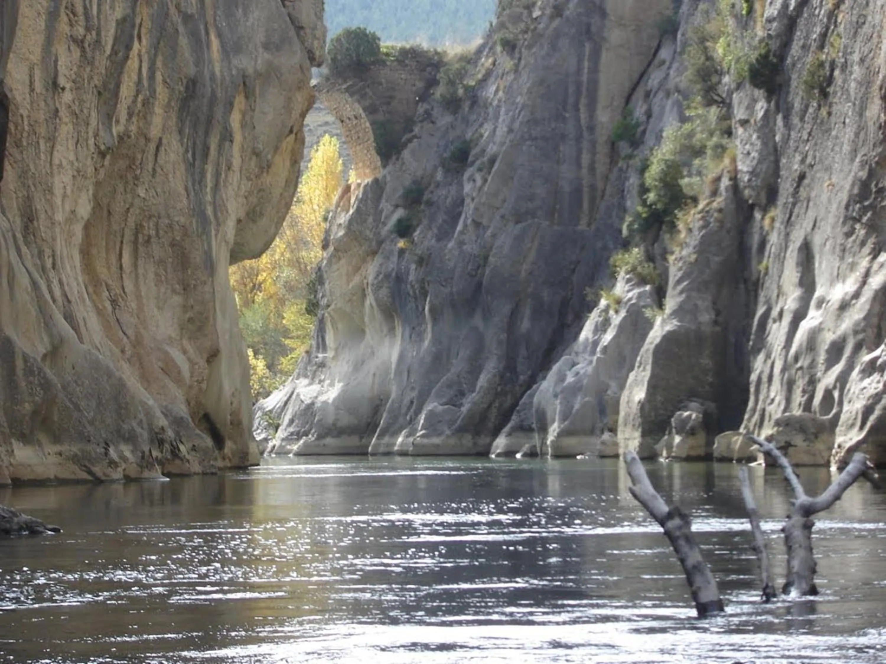 Nearby landmark in Parador de Sos del Rey Católico