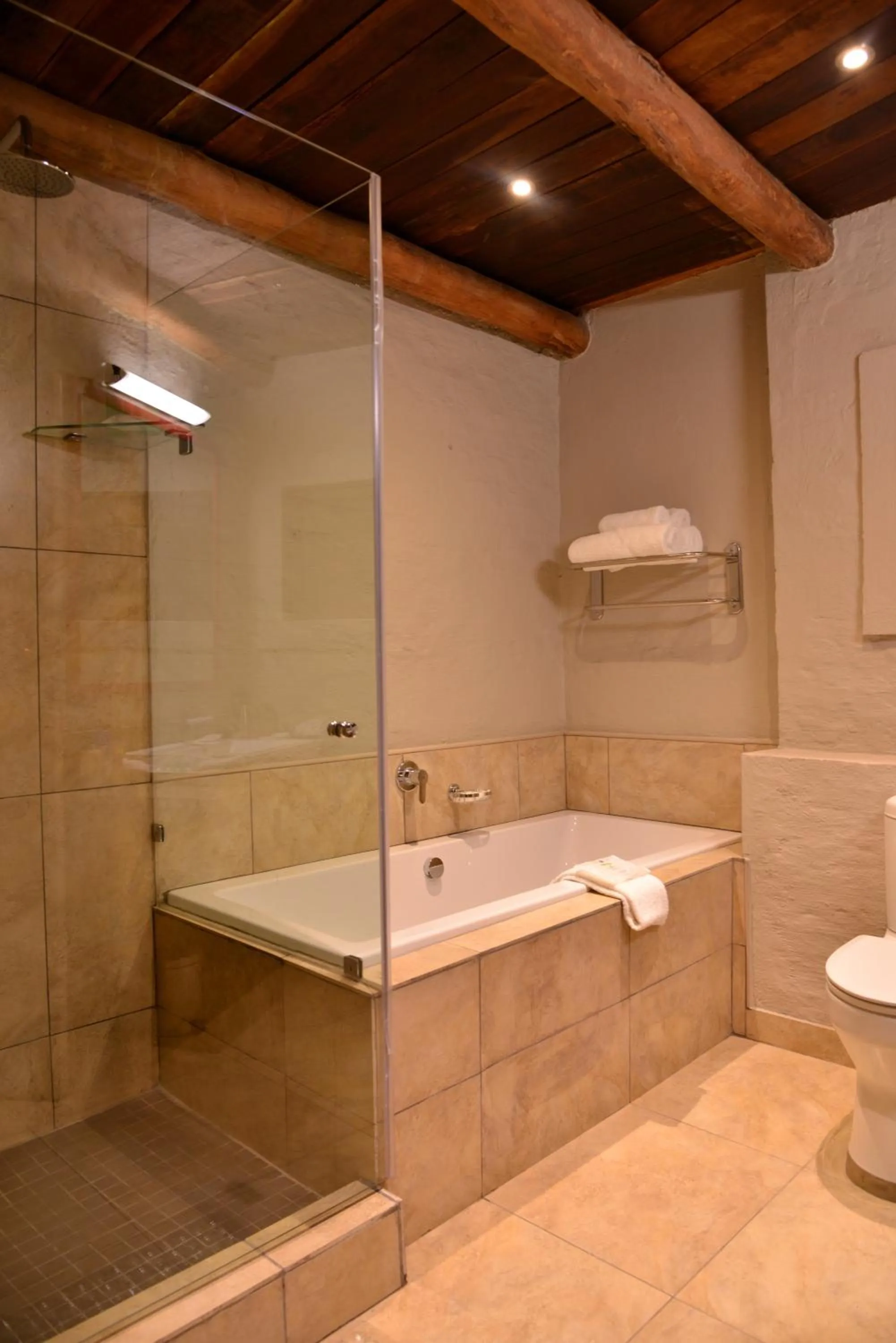 Bathroom in Victoria Falls Safari Suites