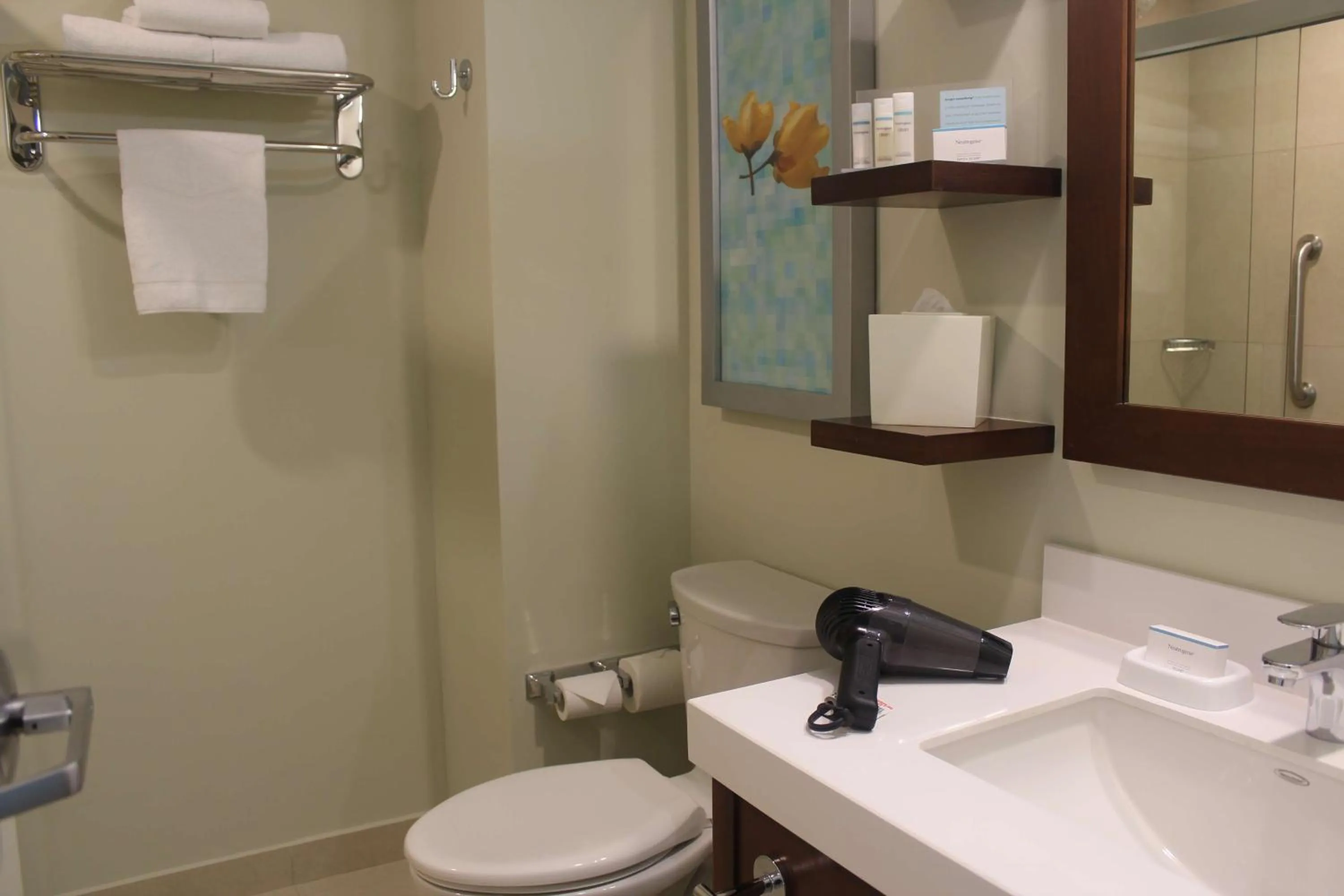 Toilet in Hampton Inn by Hilton Villahermosa