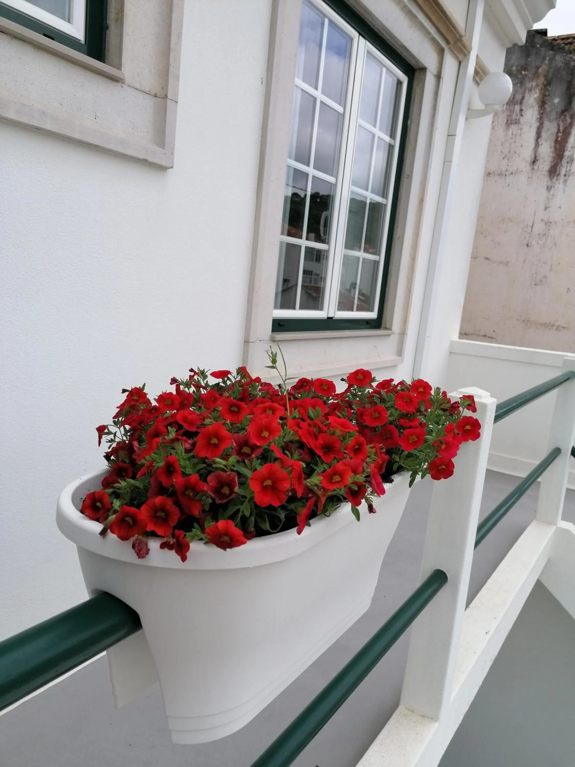 Balcony/Terrace in Hostel Rossio Alcobaça