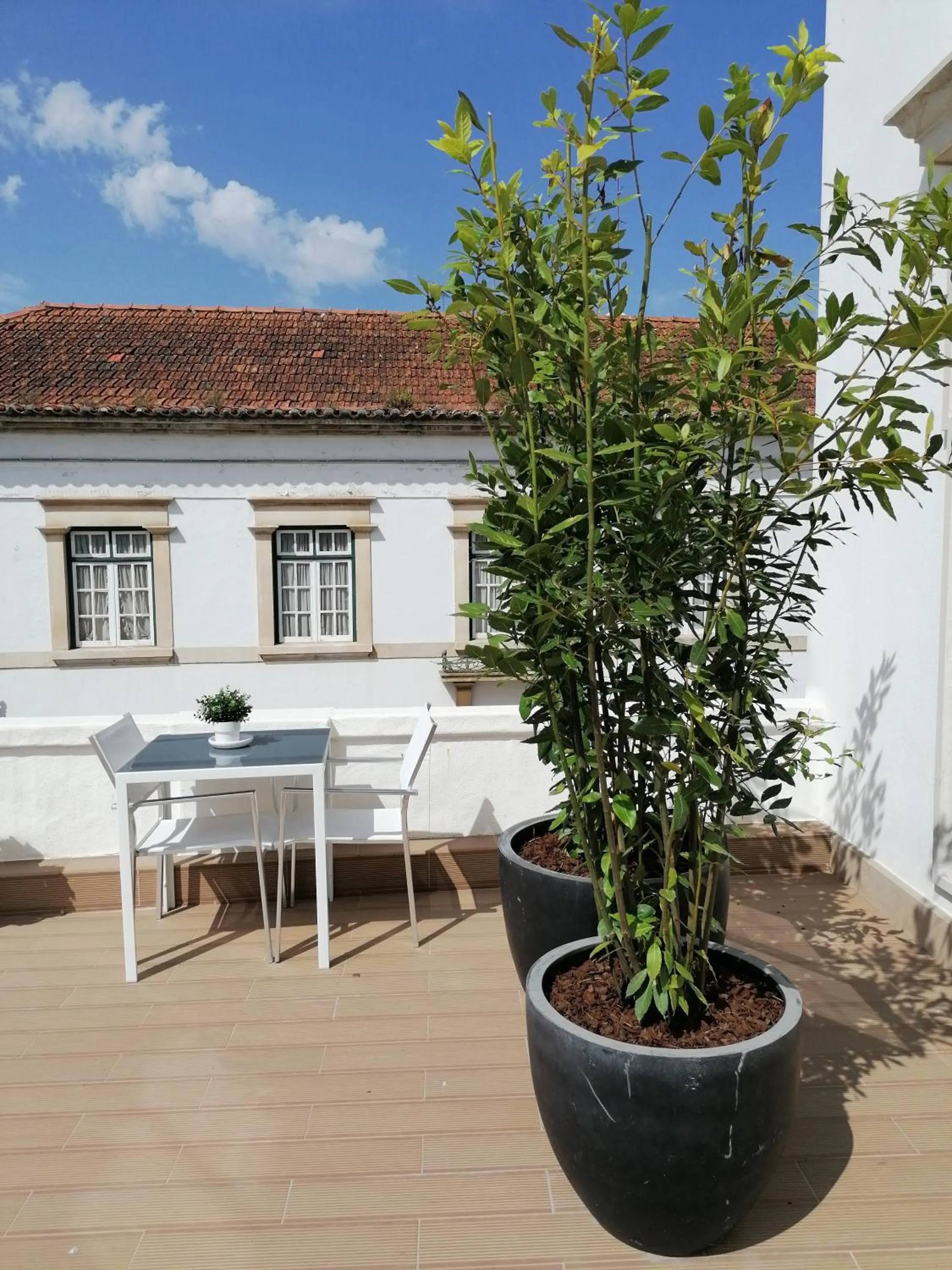 Balcony/Terrace in Hostel Rossio Alcobaça
