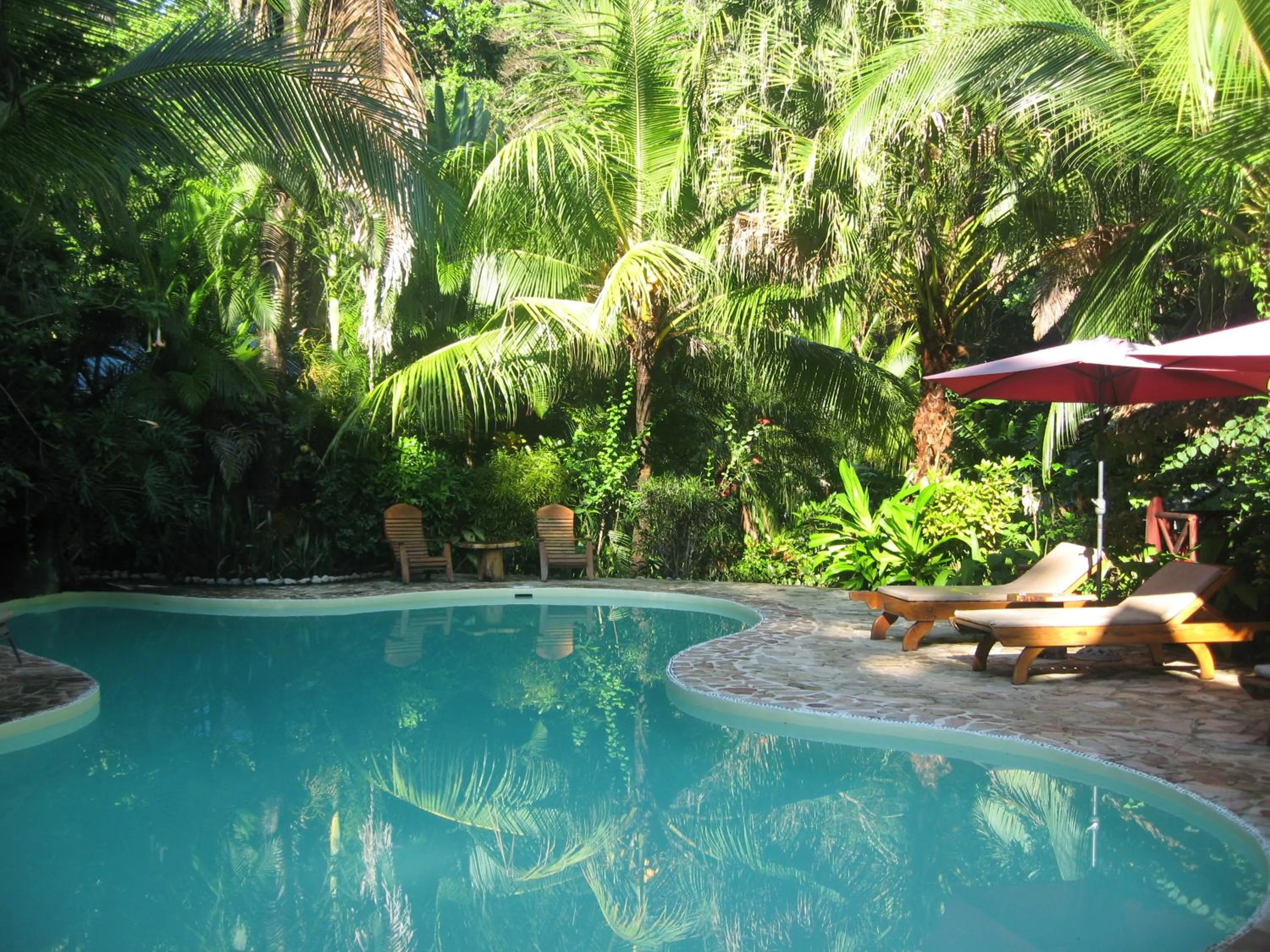 Garden in Hotel El Pequeño Gecko Verde