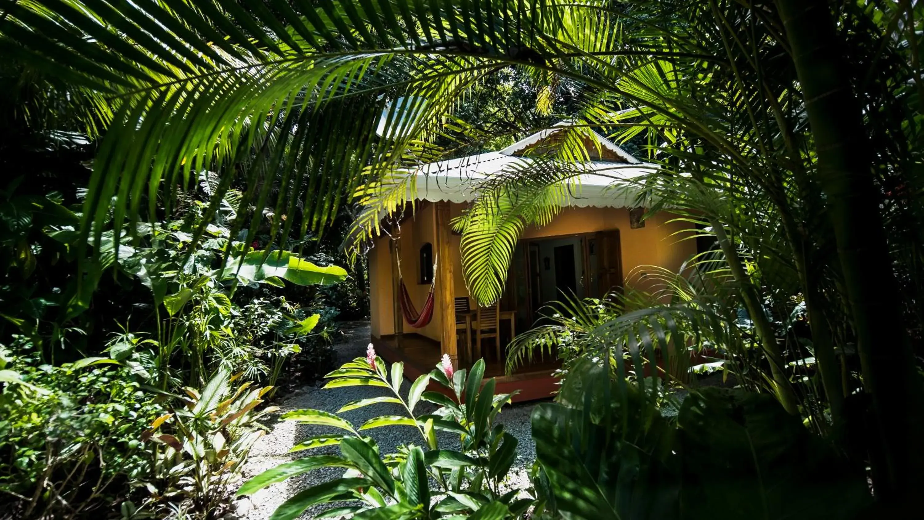 Deluxe bungalow 1 bedroom kitchen in Hotel El Pequeño Gecko Verde Deluxe bungalow 1 bedroom kitchen in Hotel El Pequeño Gecko Verde
