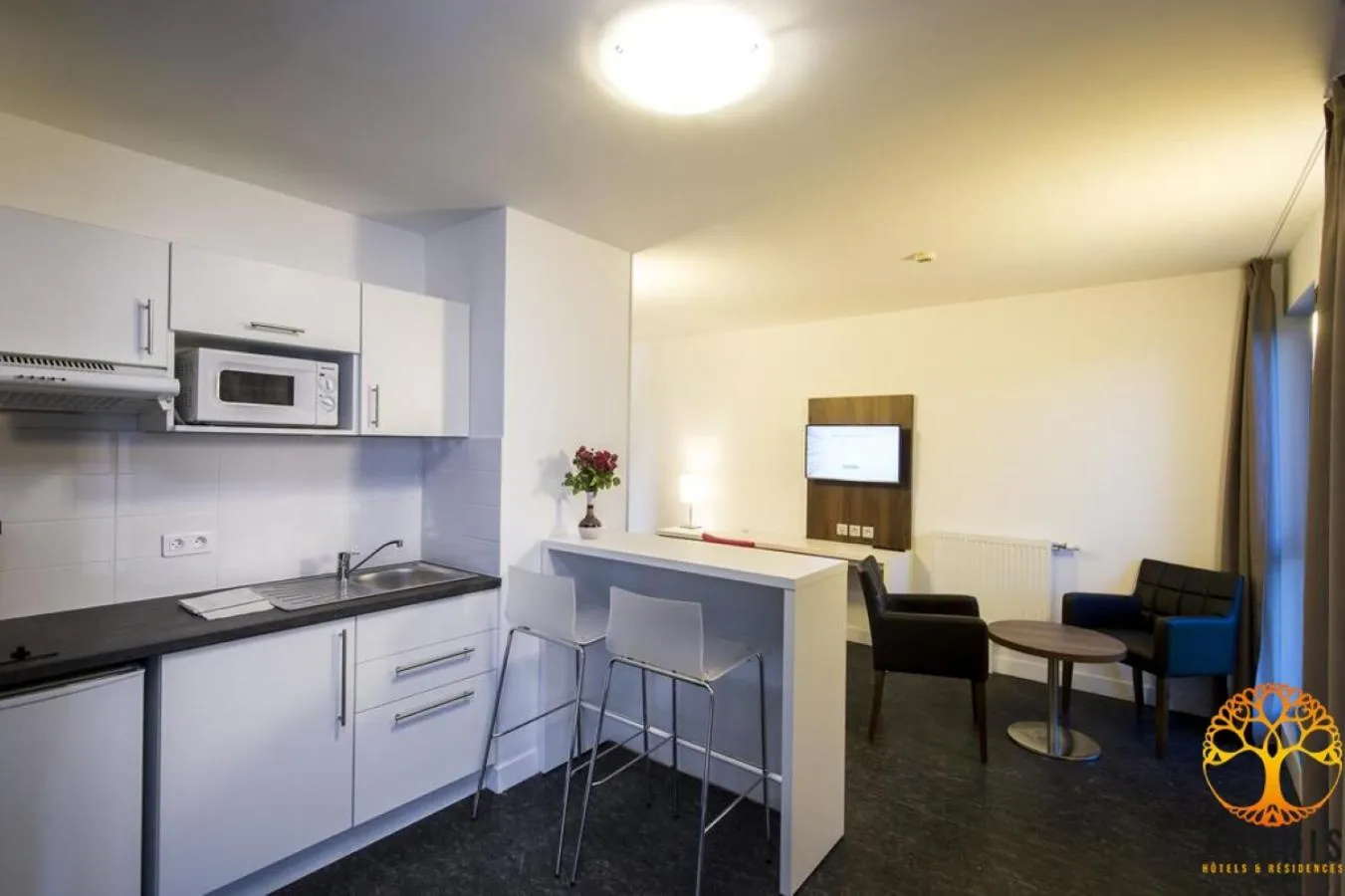 Kitchen or kitchenette in Adonis Dijon Maison Internationale