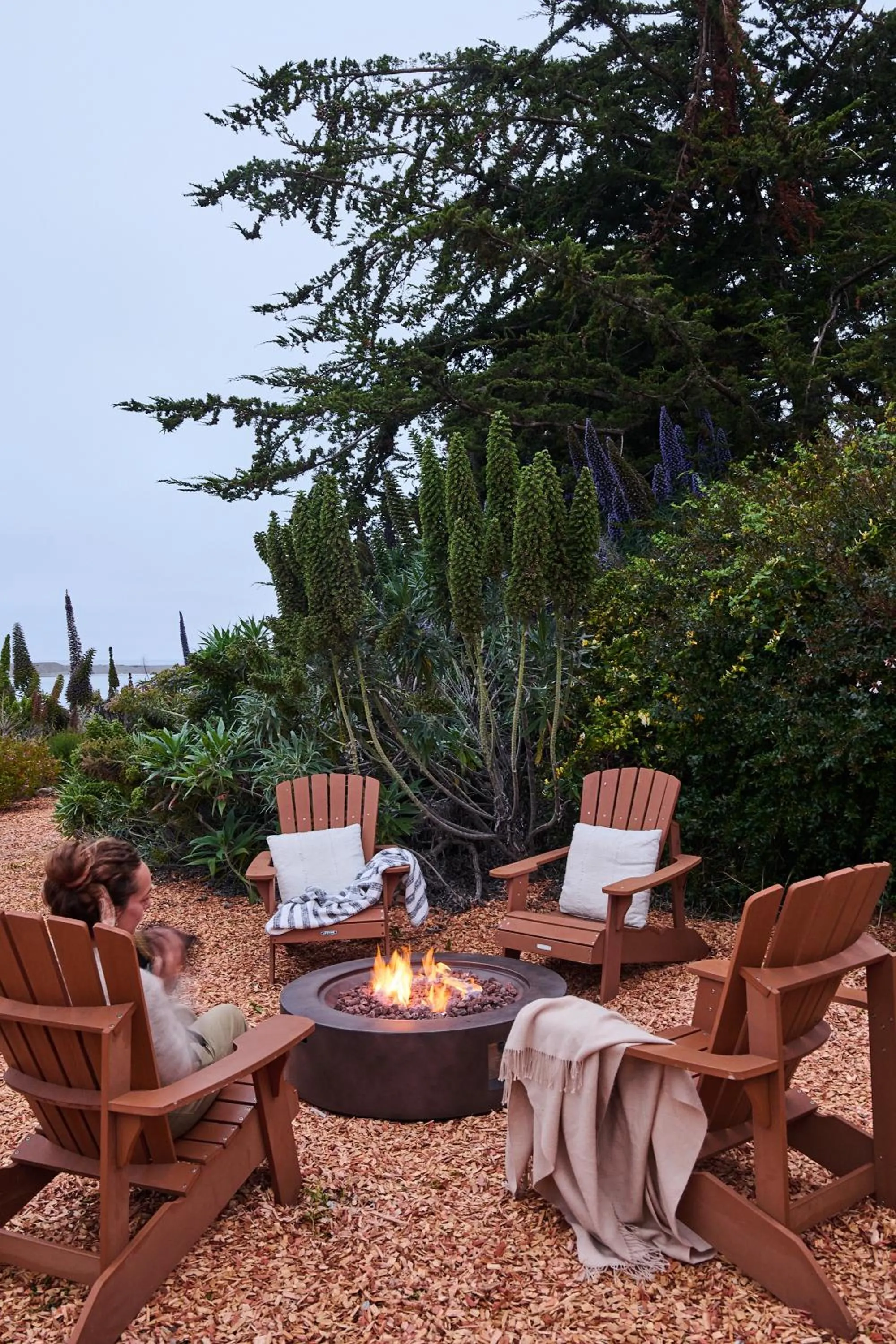 Garden in Madeira House