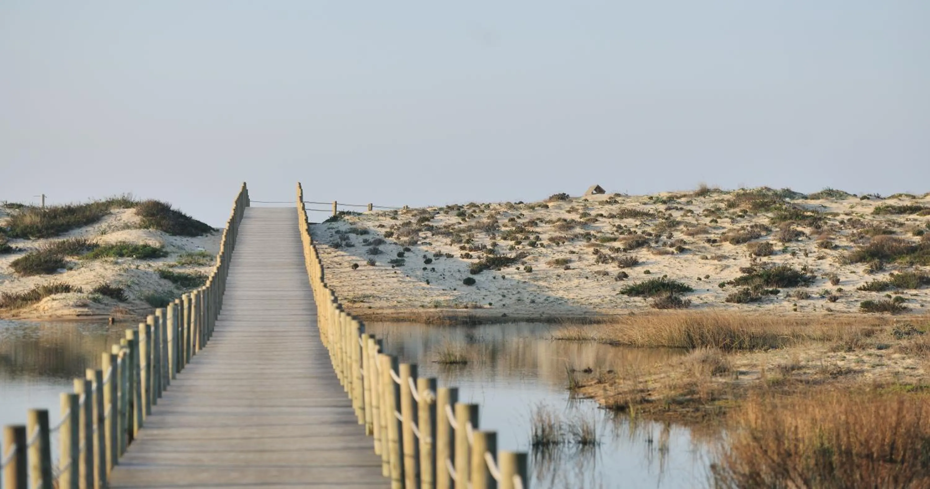 Off site in Dunas Douradas Beach Club