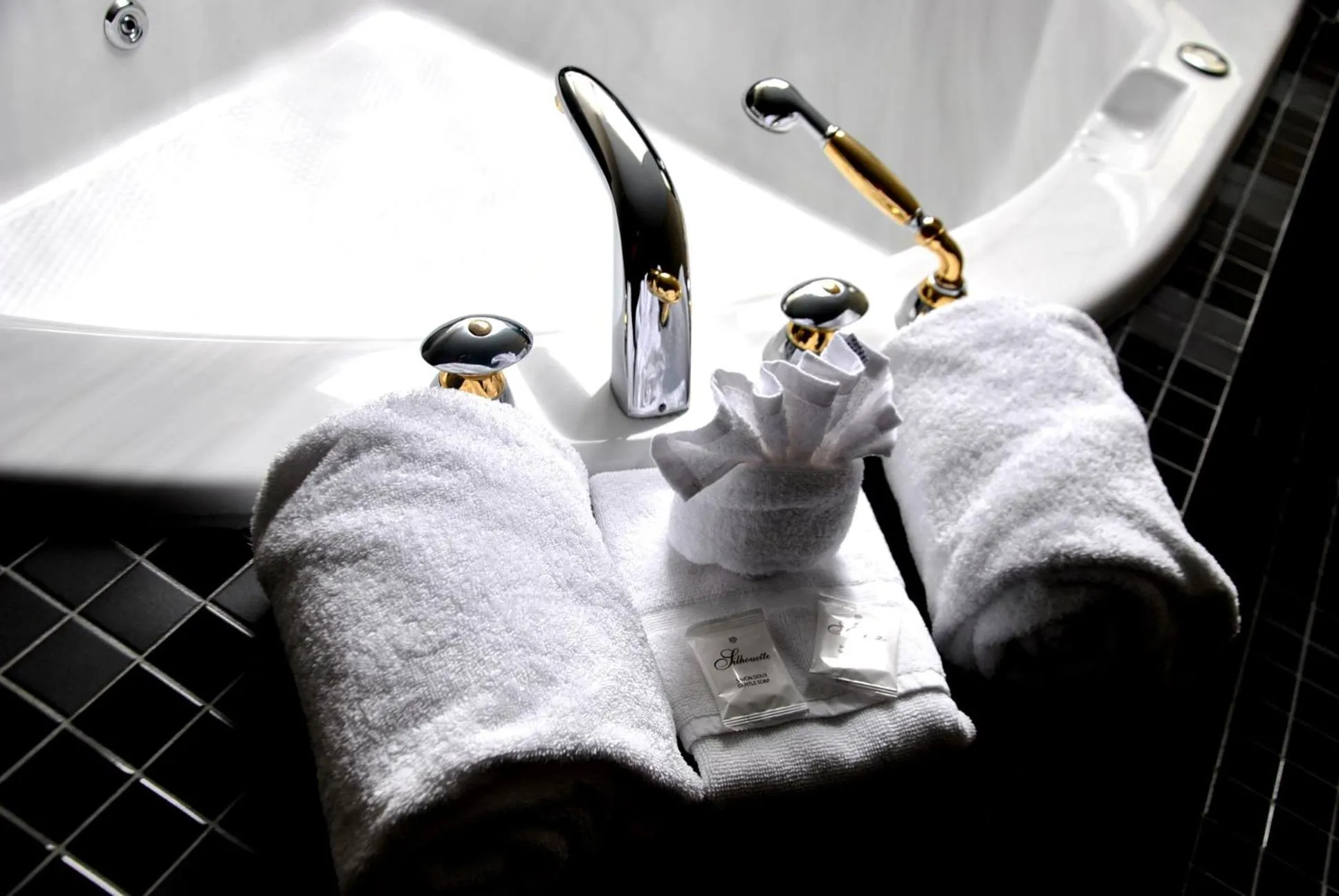 Other in Excelsior Hôtel Spa Sainte-Adèle